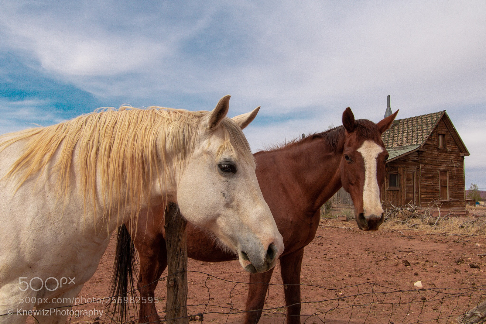 Canon EOS 760D (EOS Rebel T6s / EOS 8000D) sample photo. New friends in utah photography