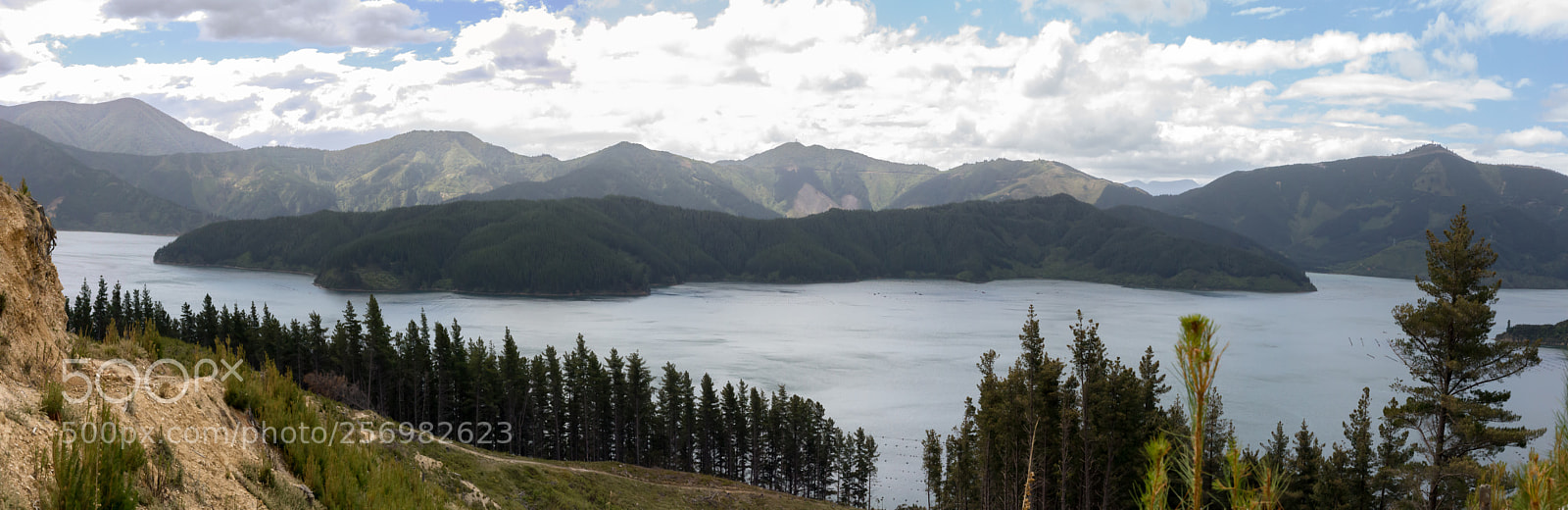 Canon EOS 6D sample photo. Port underwood, new zealand photography