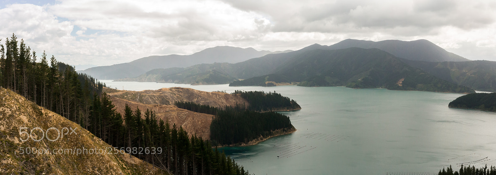 Canon EOS 6D sample photo. Port underwood, new zealand photography
