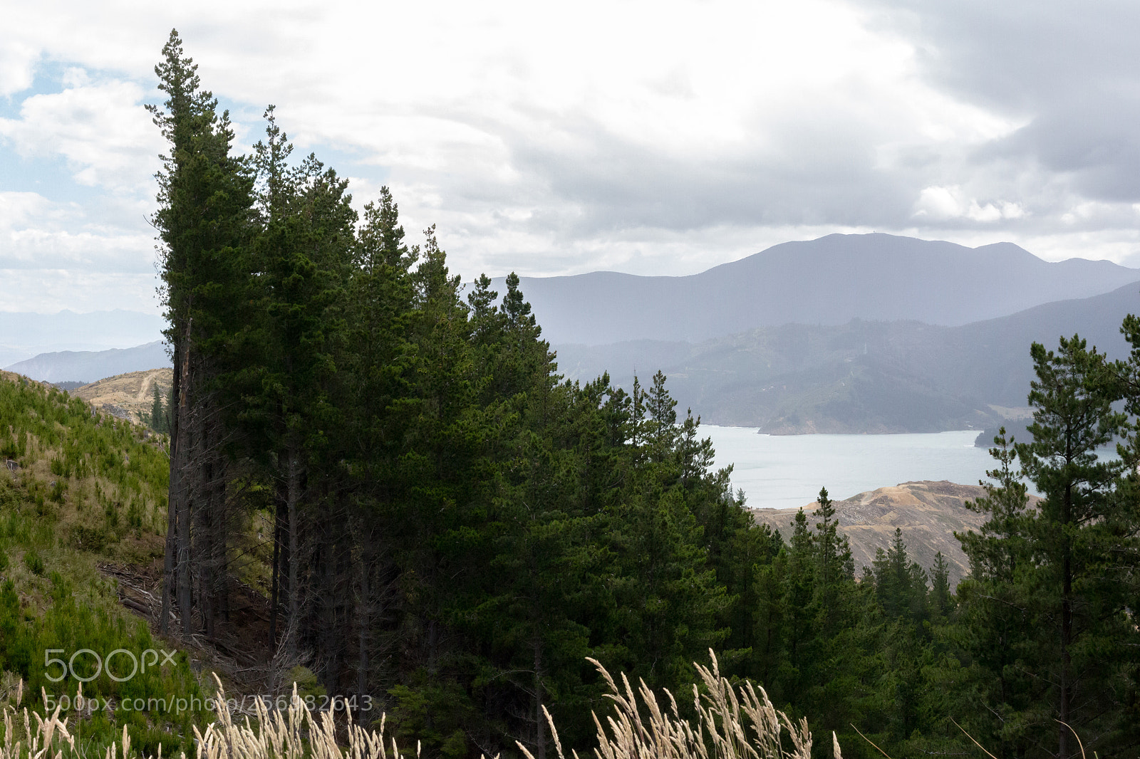 Canon EOS 6D sample photo. Forestry section in port photography