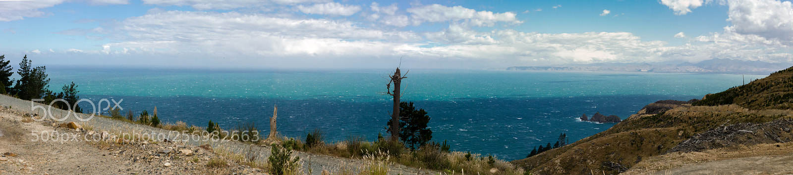 Canon EOS 6D sample photo. Port underwood, new zealand photography