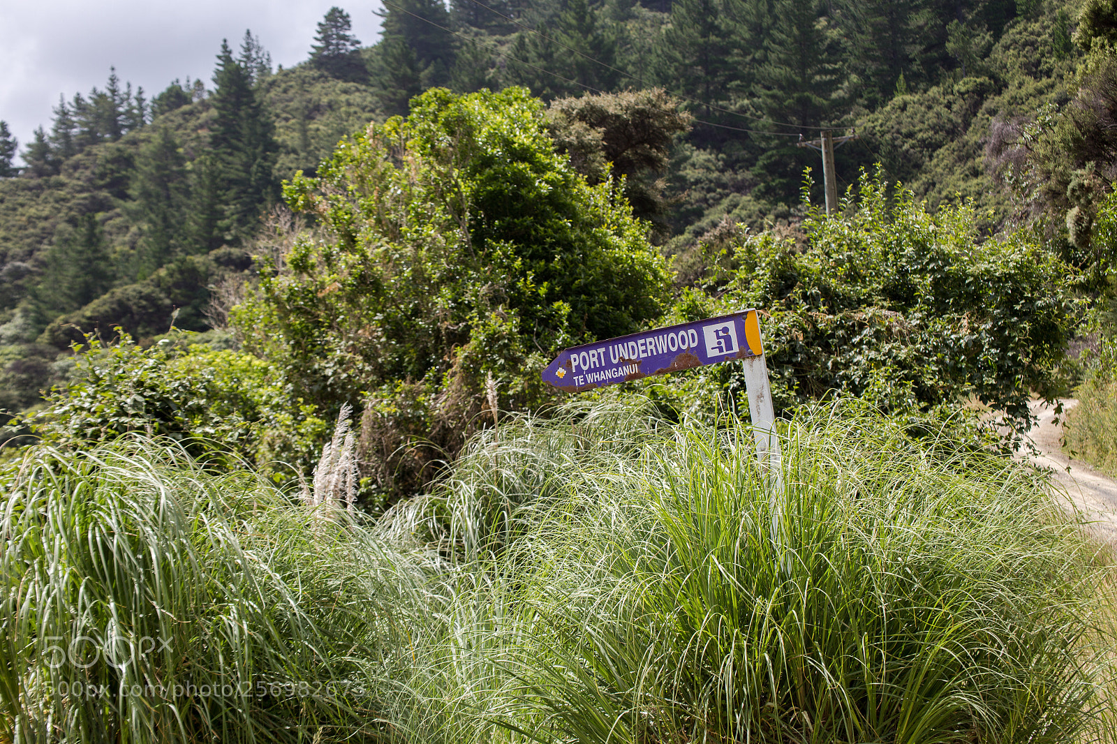 Canon EOS 6D sample photo. Port underwood sign photography