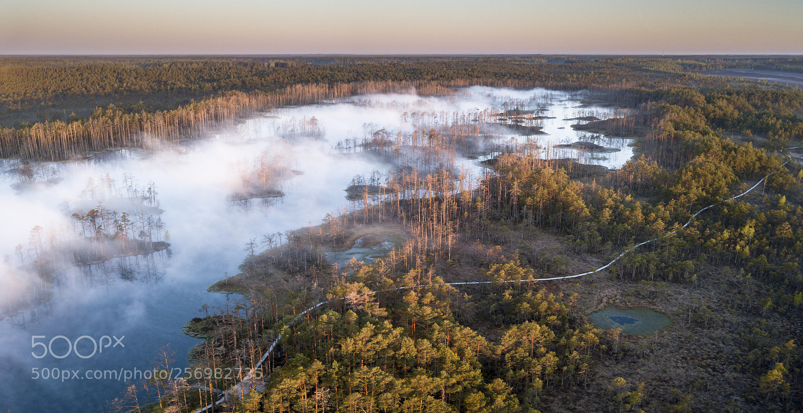 DJI FC220 sample photo. Cenas tirelis 3 photography