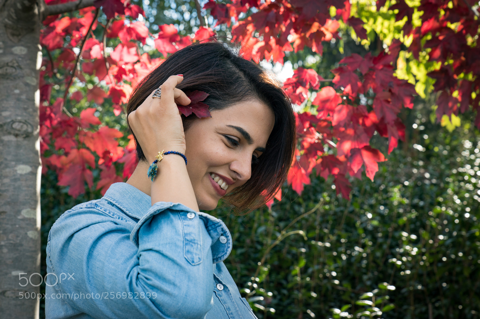Canon EOS 80D sample photo. Autumn is here! photography