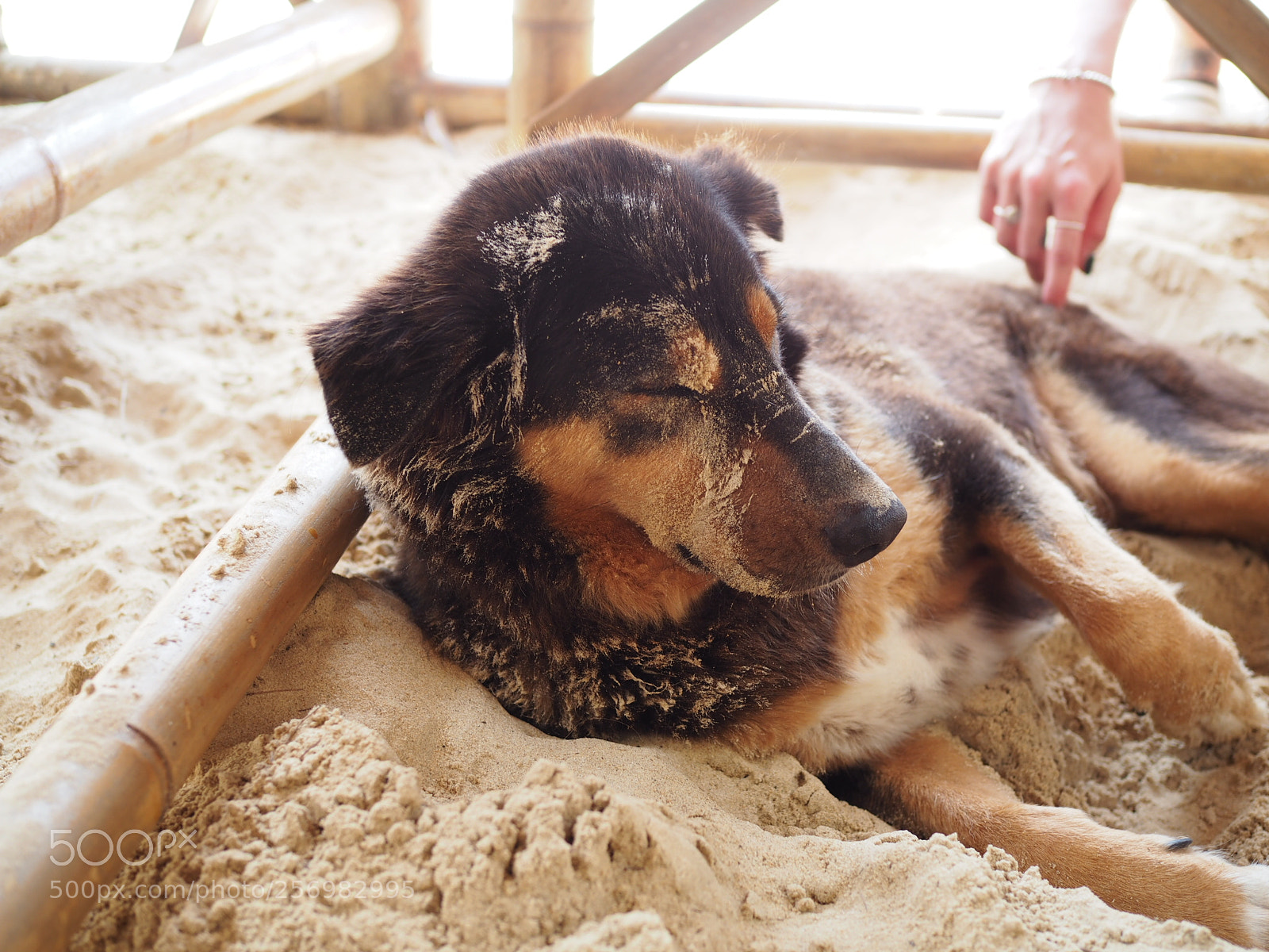 Olympus OM-D E-M10 sample photo. Memories beach bar #2 photography