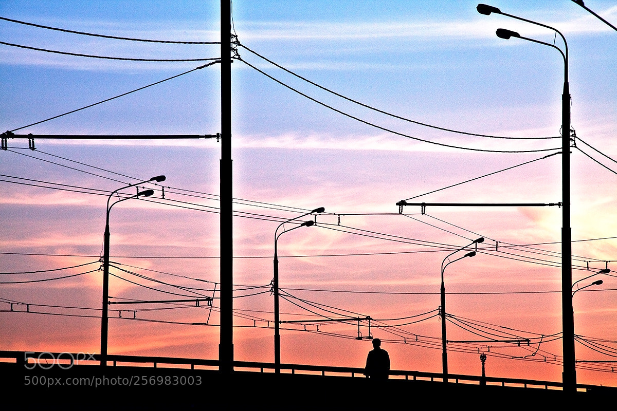 Canon EOS 5D Mark II sample photo. *** photography