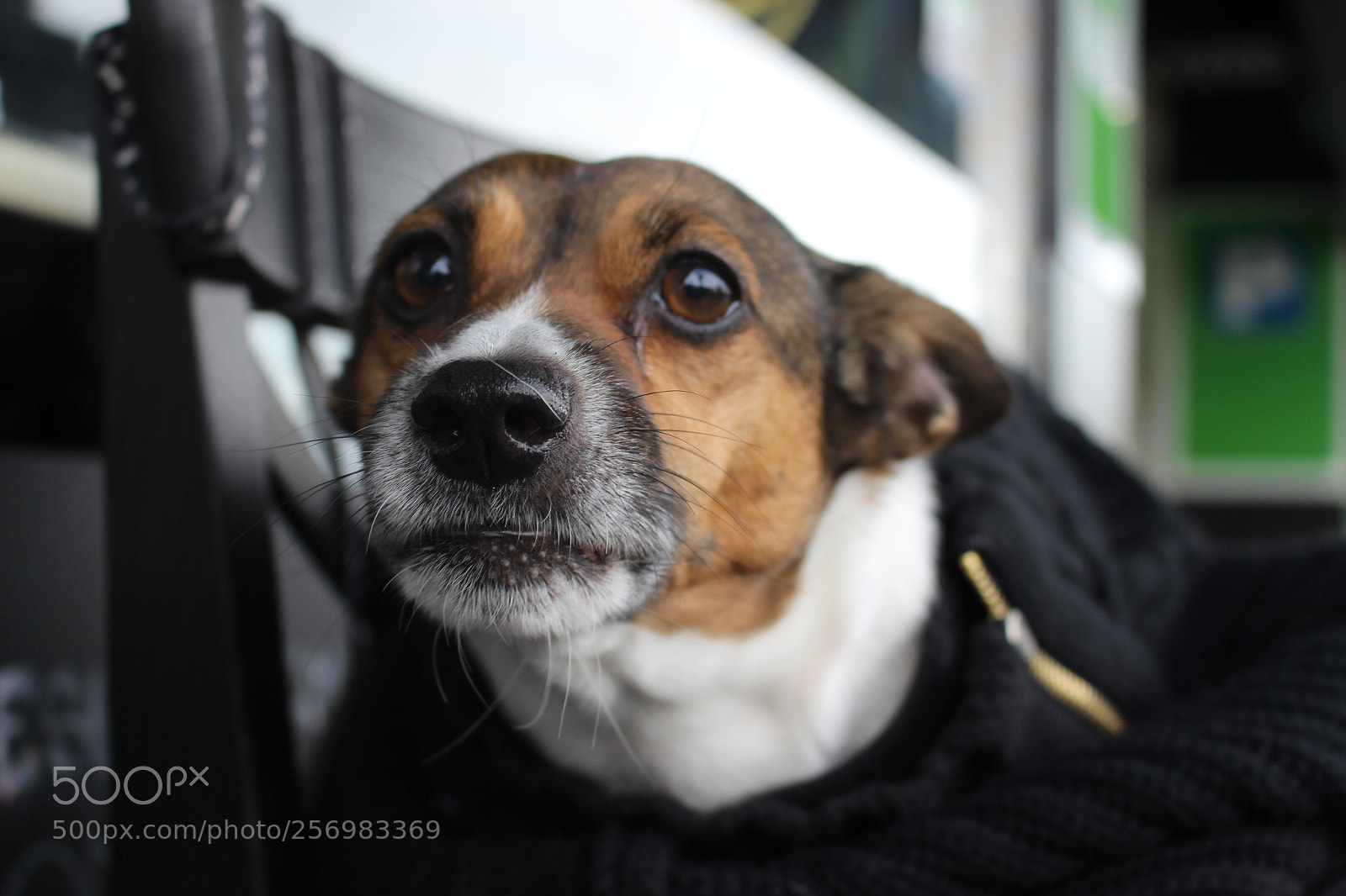 Canon EOS 700D (EOS Rebel T5i / EOS Kiss X7i) sample photo. E o photography