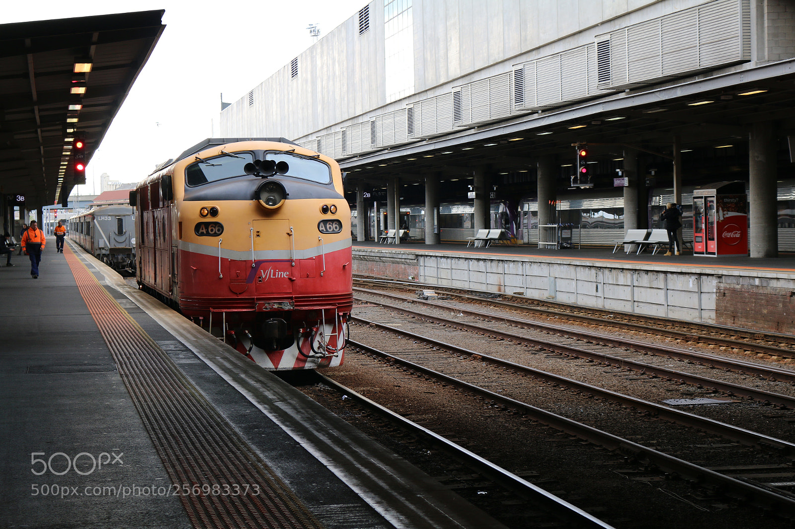 Canon EOS 70D sample photo. Cao photography