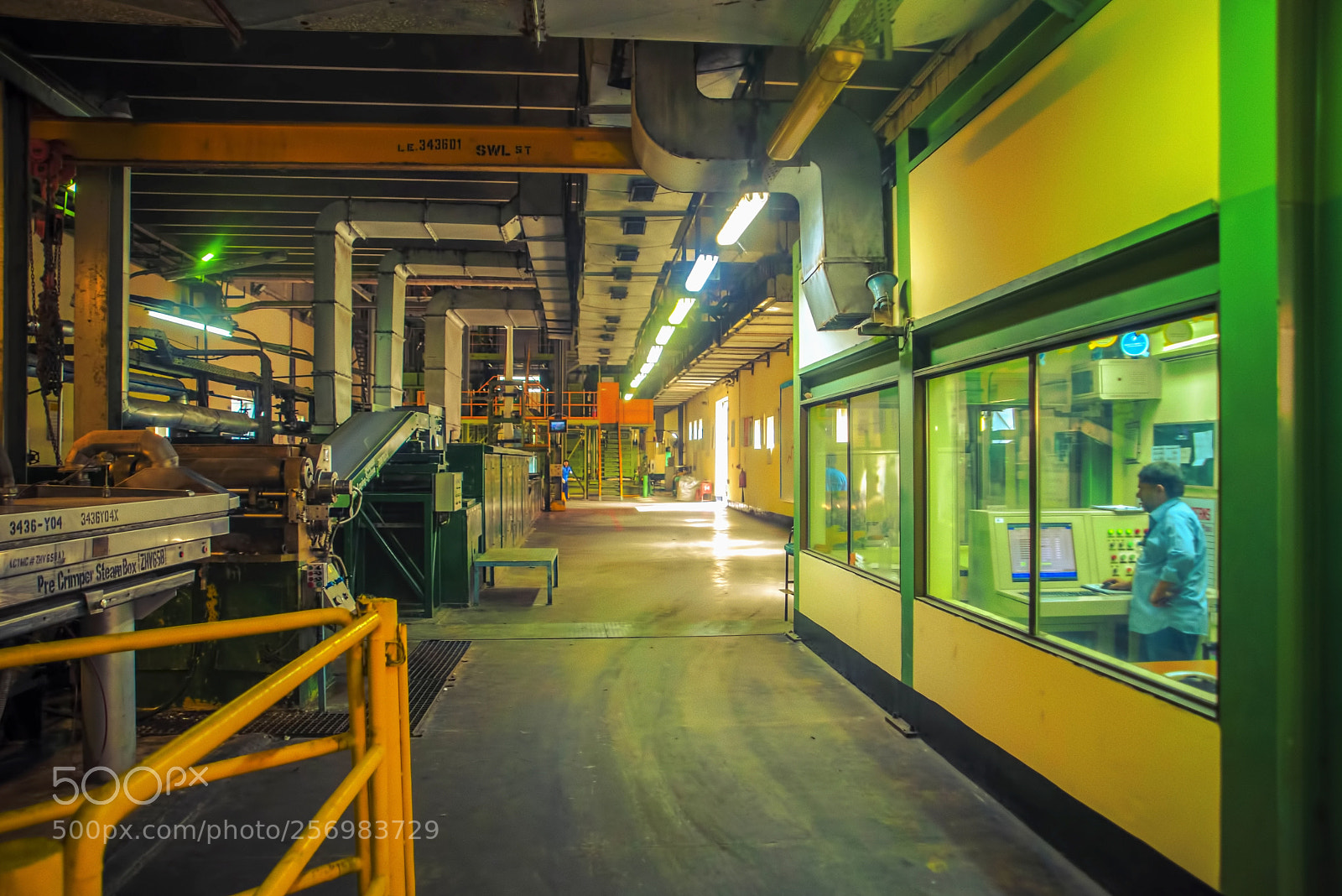 Nikon D750 sample photo. Ici polyester plant photography