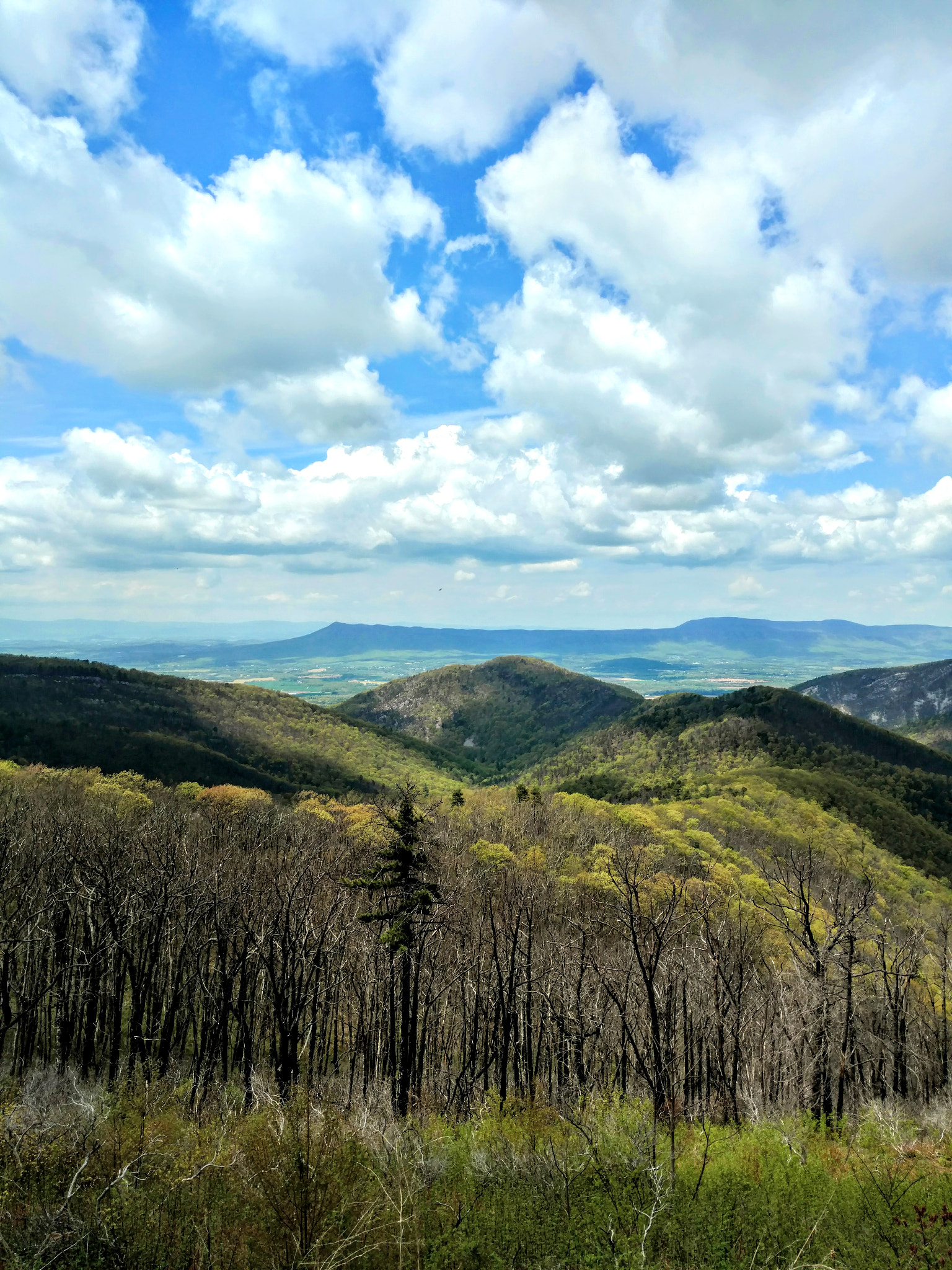 Motorola DROID Turbo 2 sample photo. Cruising the blue ridge parkway photography