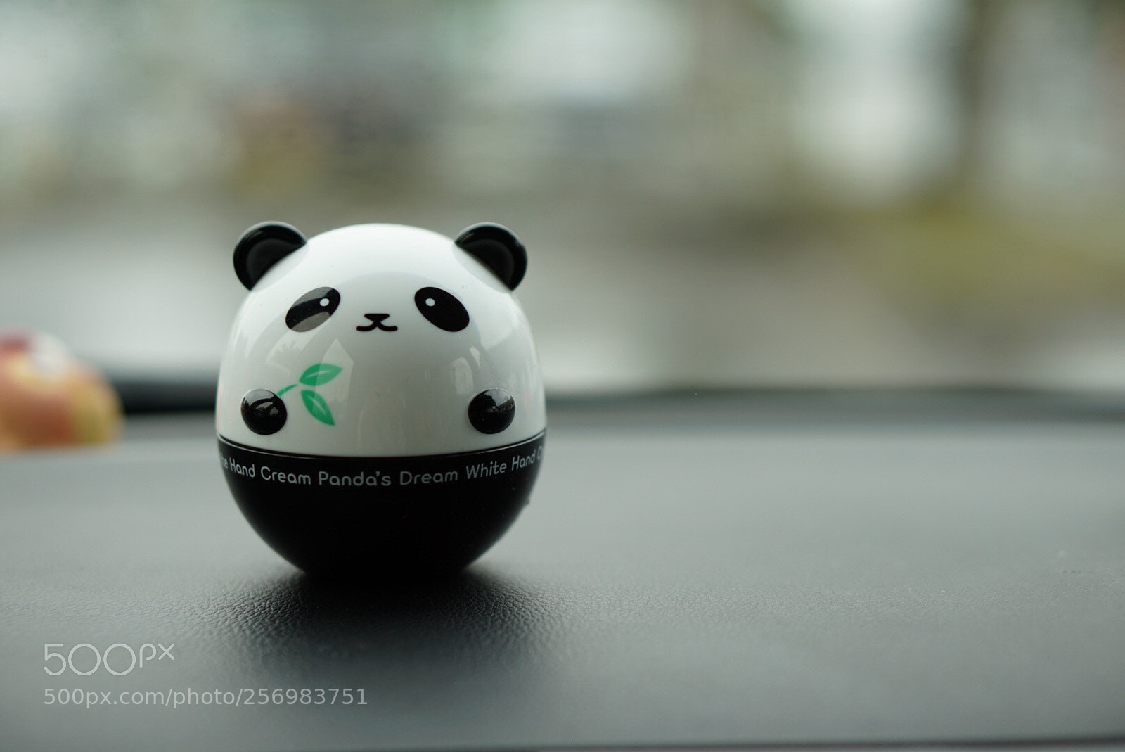Sony a6000 sample photo. Panda photography