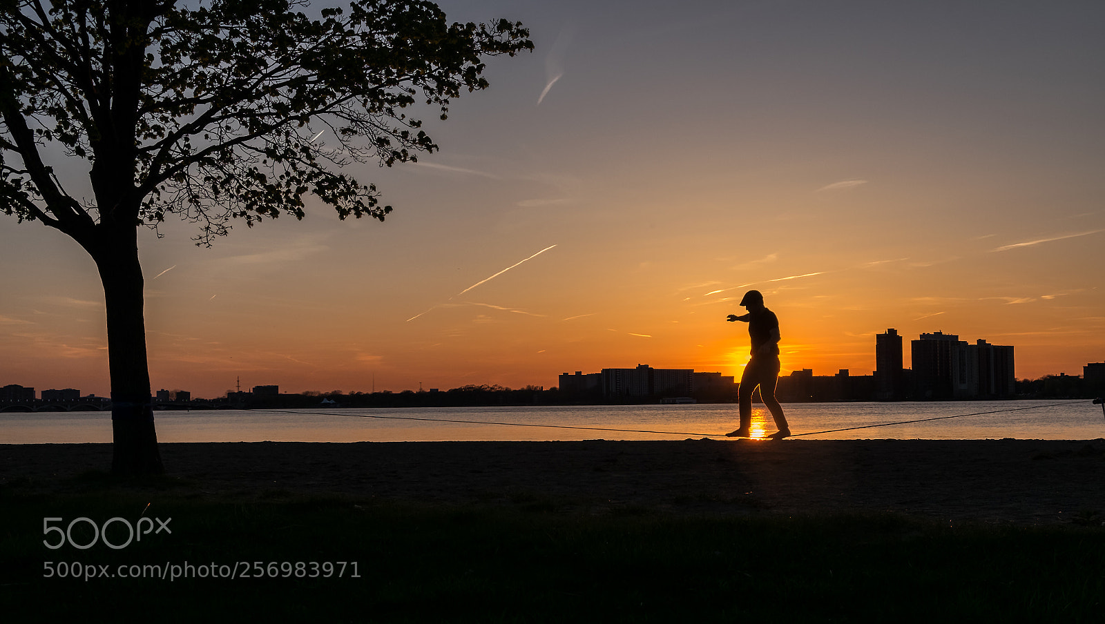 Fujifilm X-T10 sample photo. Walking a tightrope photography