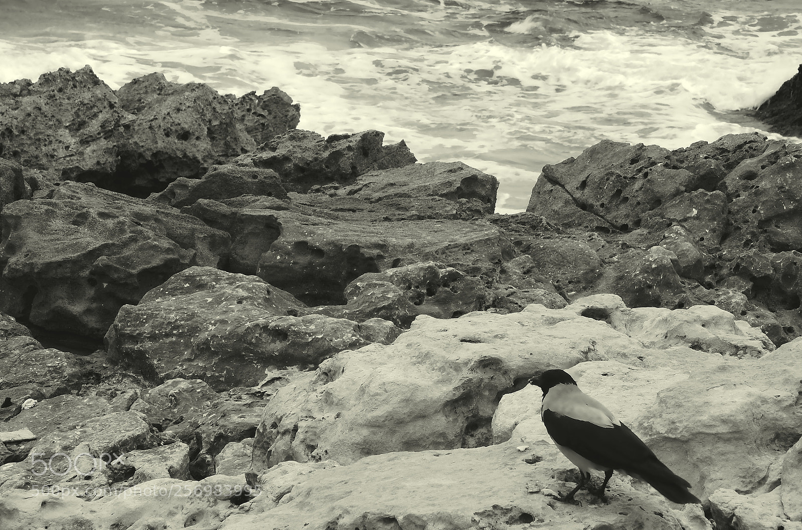 Nikon D7000 sample photo. Crew and the sea photography
