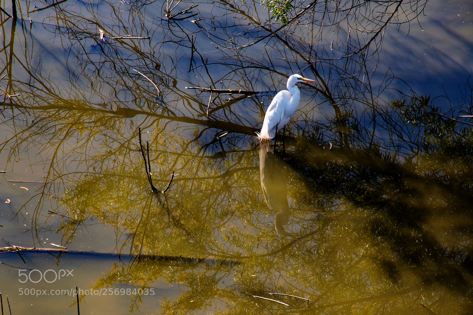 Canon EOS 70D sample photo. Resting photography