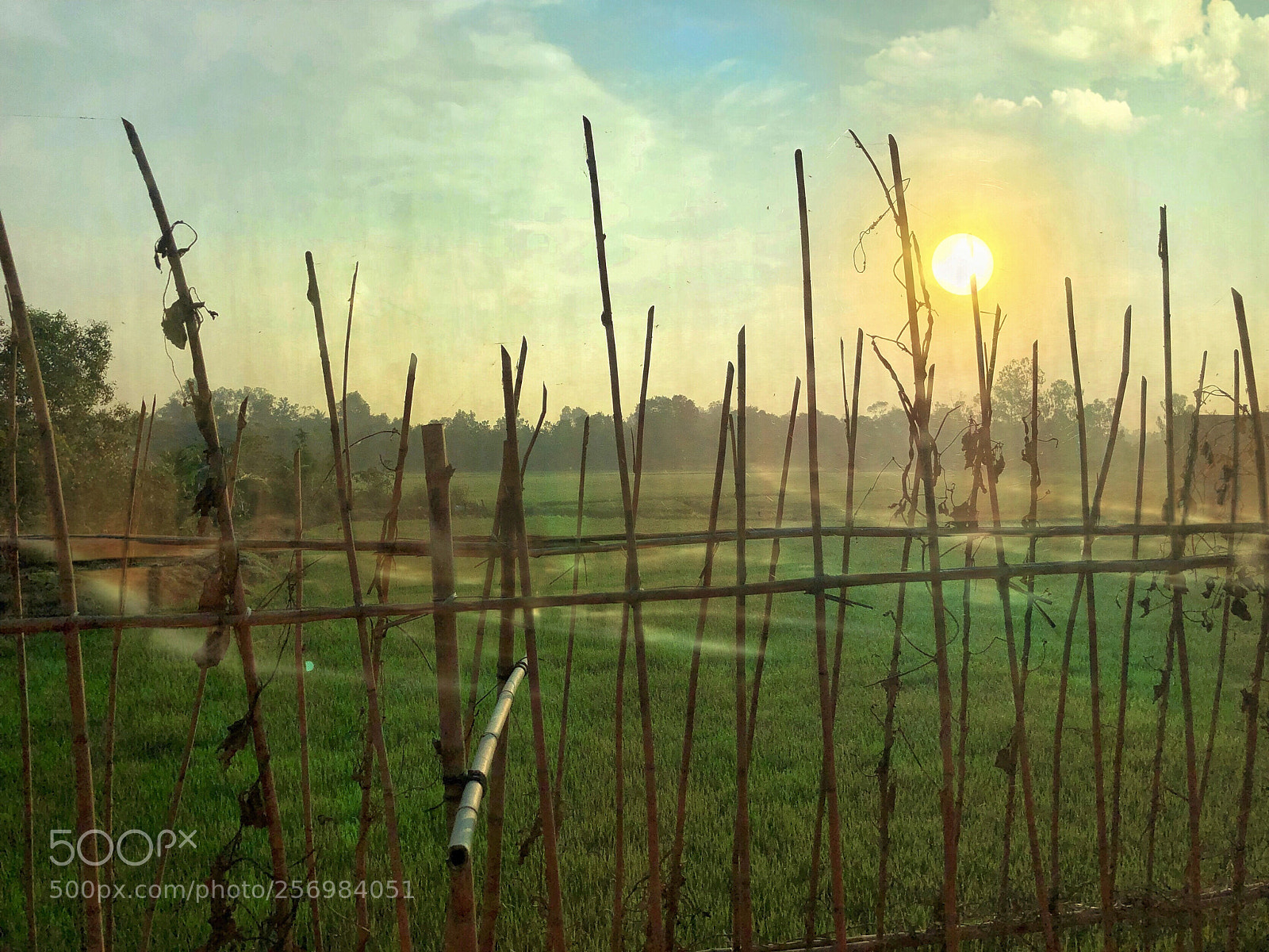 Apple iPhone 8 Plus sample photo. Sunset on the countryside photography