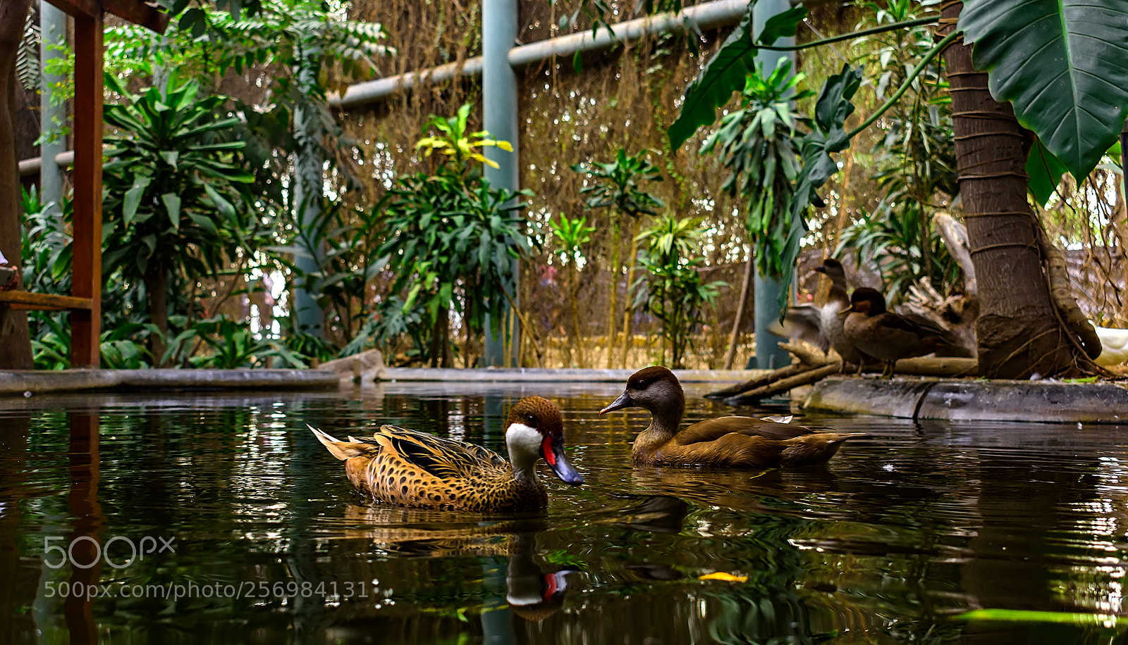 Nikon D7200 sample photo. Untitled photography