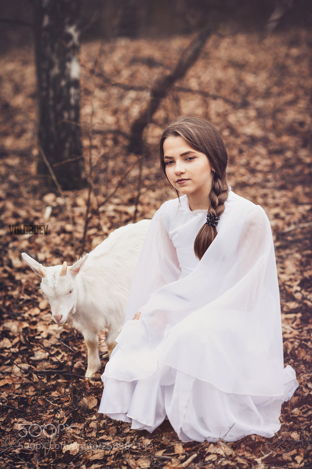 Canon EOS 5D Mark II sample photo. Fairy tale photography