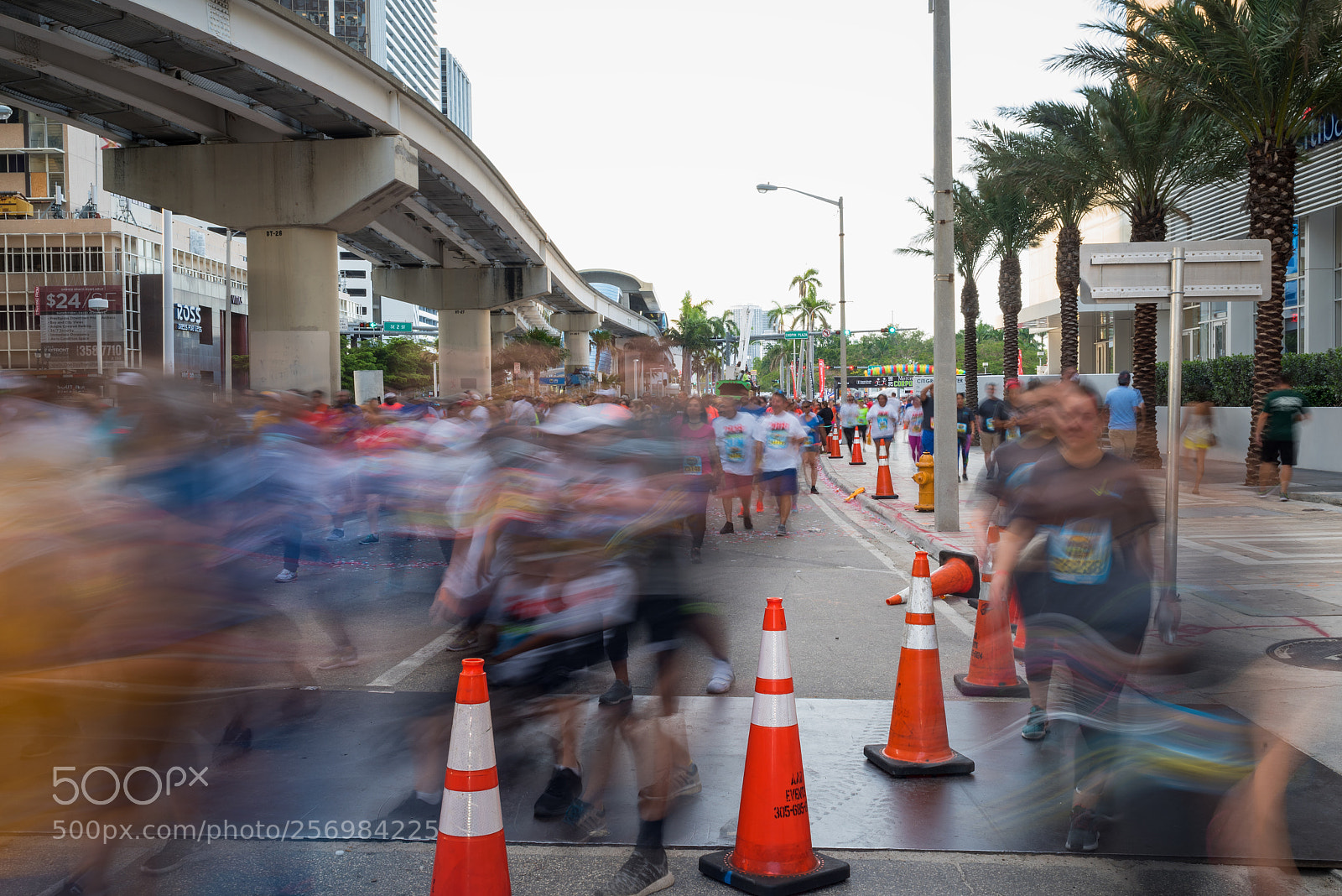 Nikon D750 sample photo. Run! photography