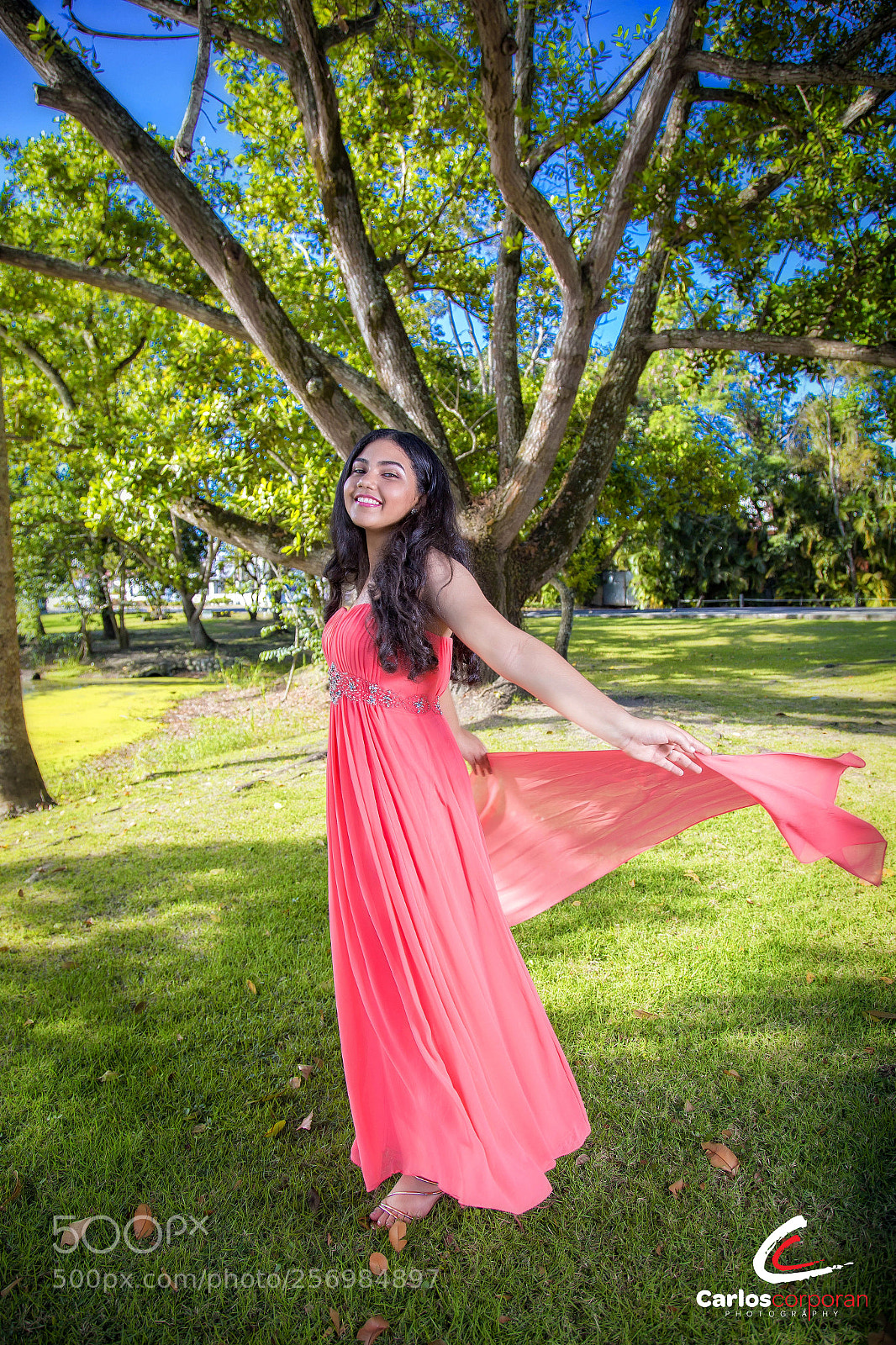 Canon EOS 6D sample photo. Copy photography