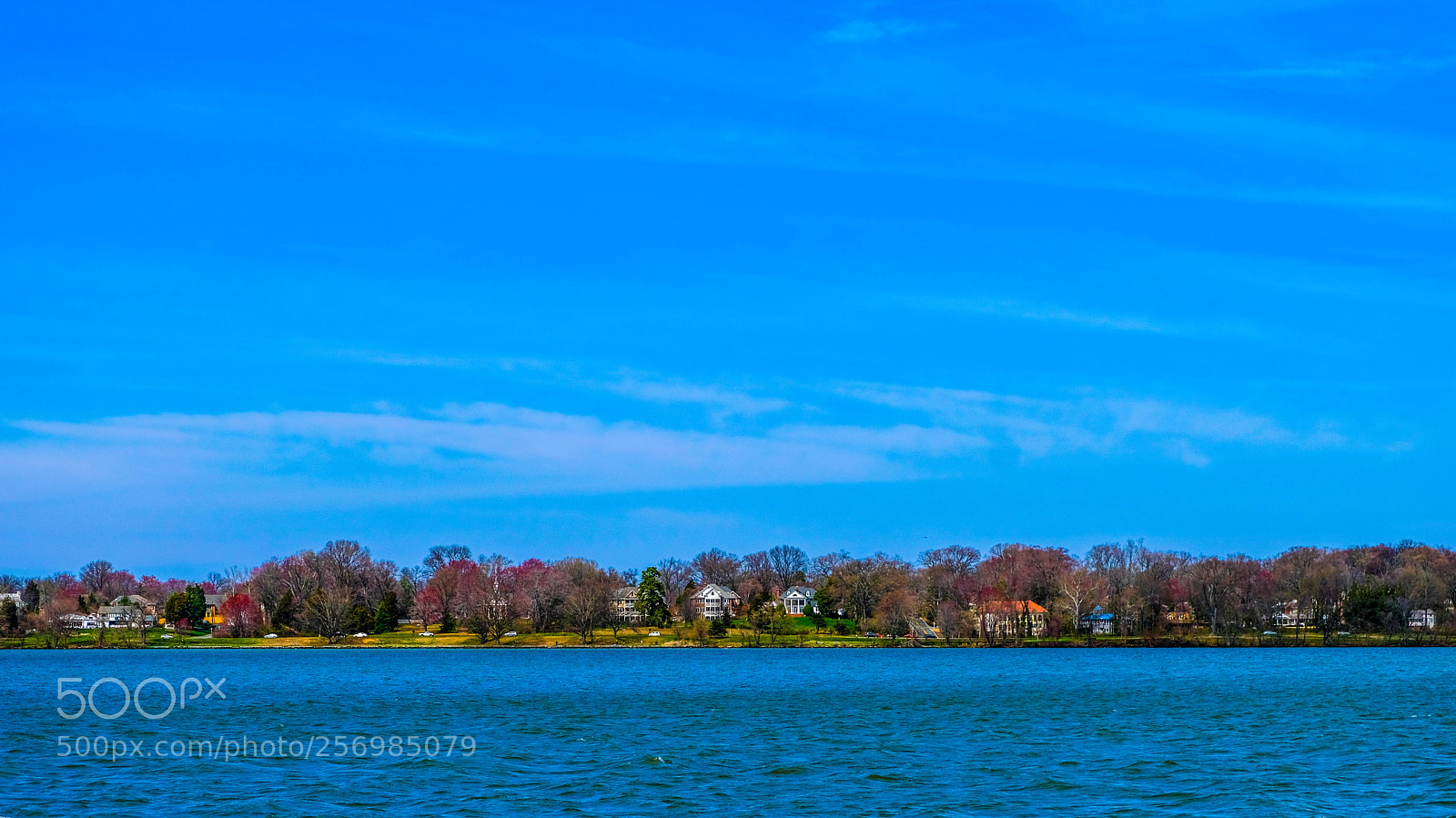 Fujifilm X-T20 sample photo. Potomac riverview homes photography