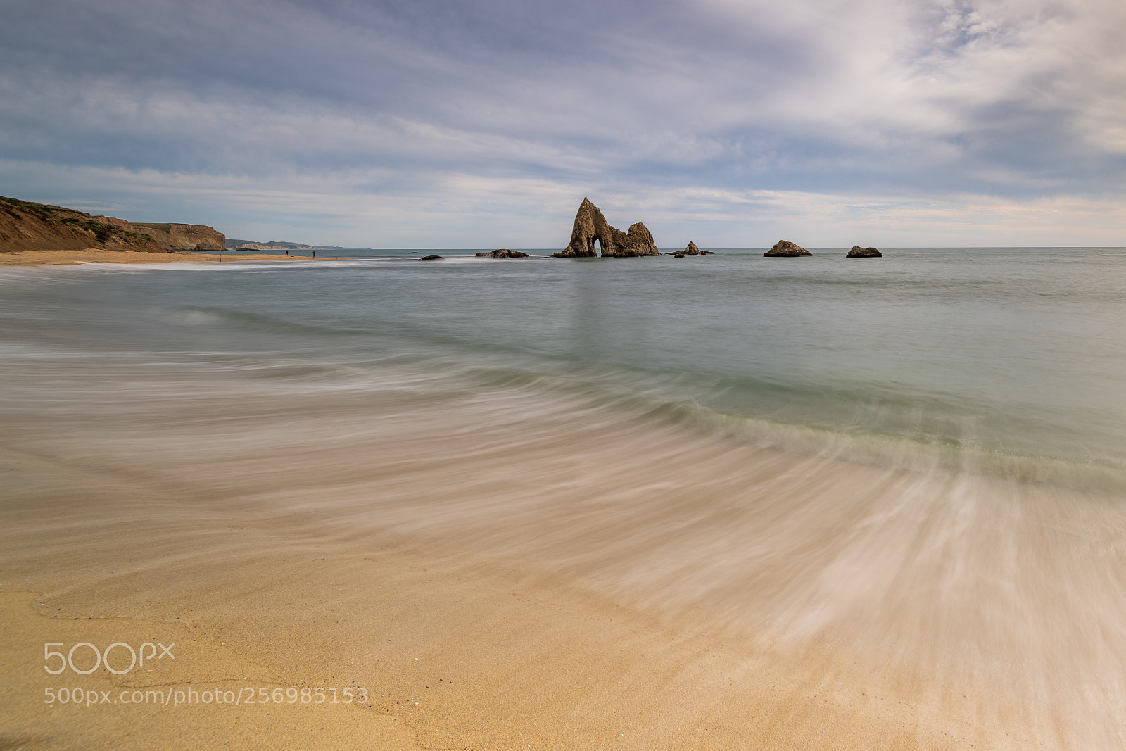 Nikon D850 sample photo. Martin's beach, california photography