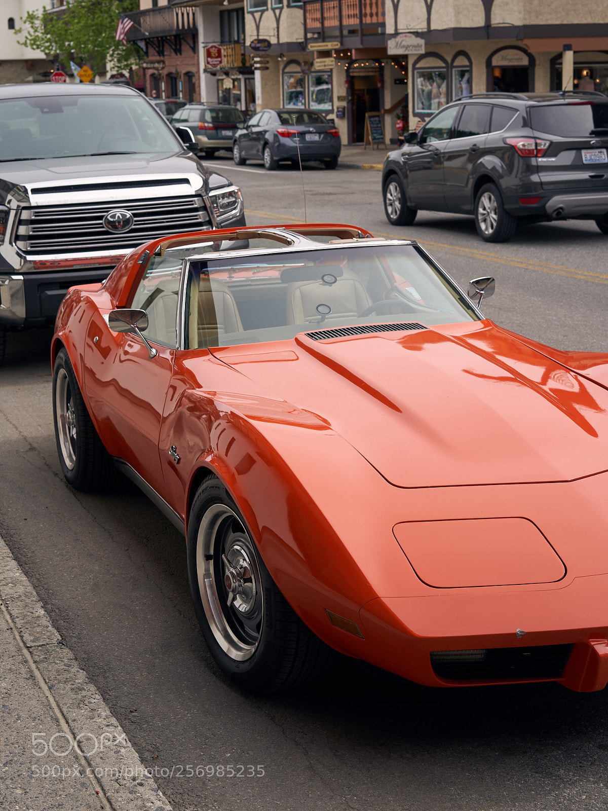 Sony a7 III sample photo. Stingray photography