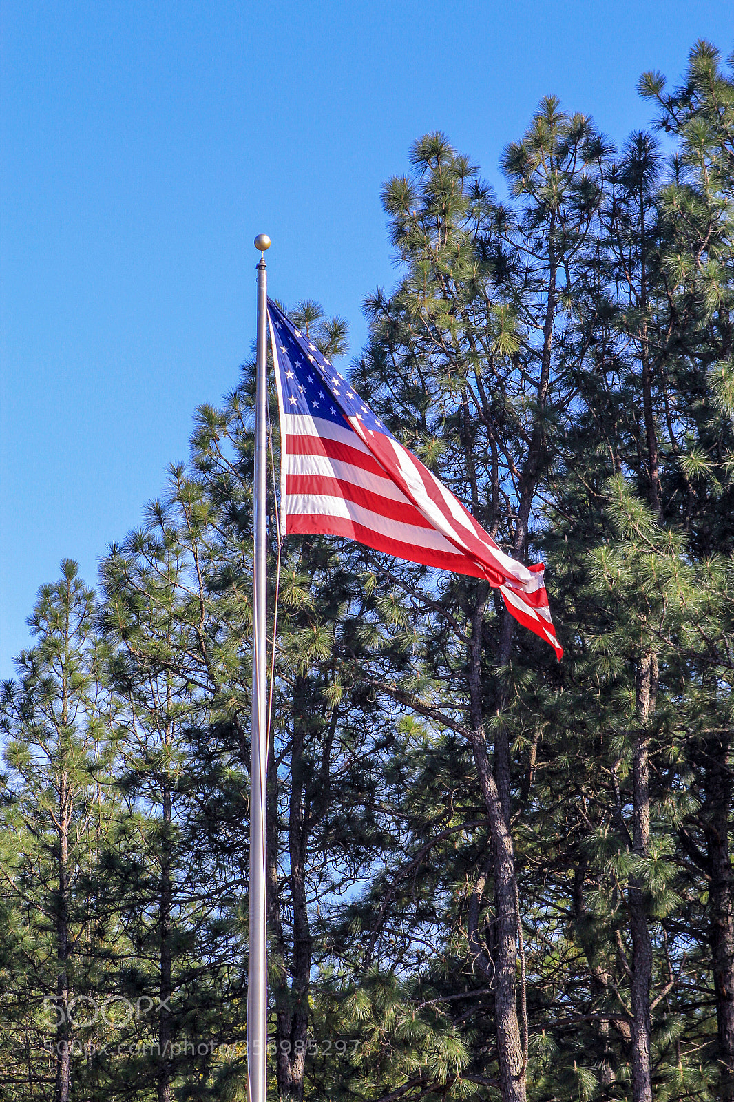 Canon EOS 1200D (EOS Rebel T5 / EOS Kiss X70 / EOS Hi) sample photo. Old glory photography