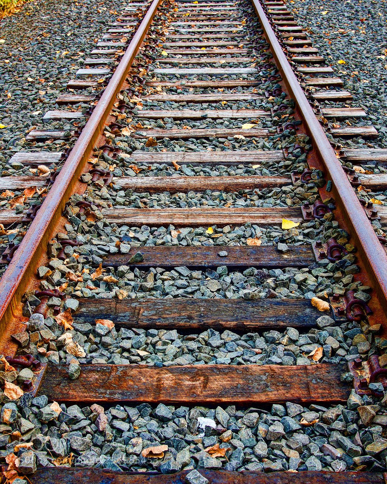 Nikon D750 sample photo. Tracks and ties  photography