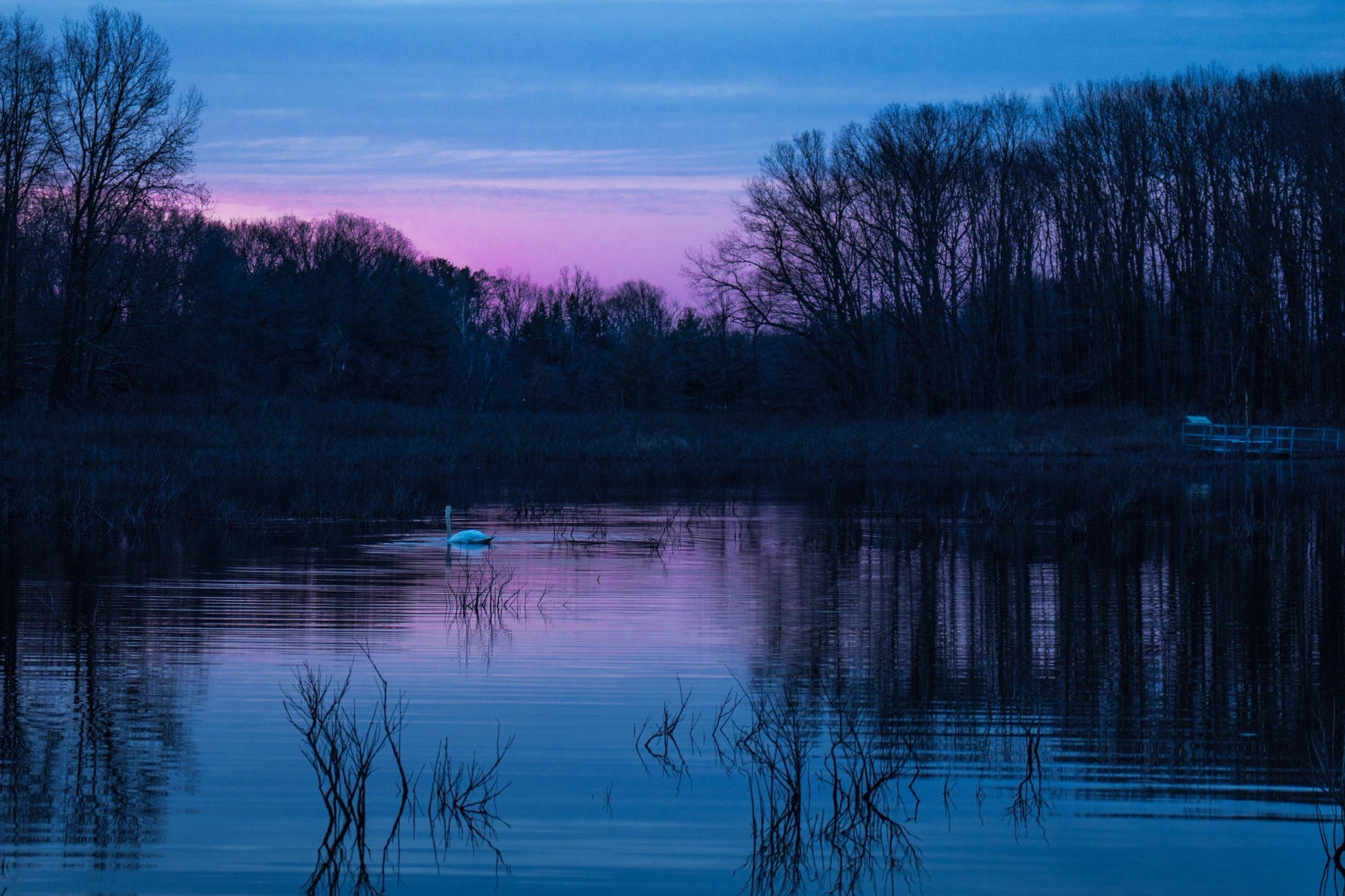 Canon EOS 200D (EOS Rebel SL2 / EOS Kiss X9) sample photo. West lake nature preserve photography