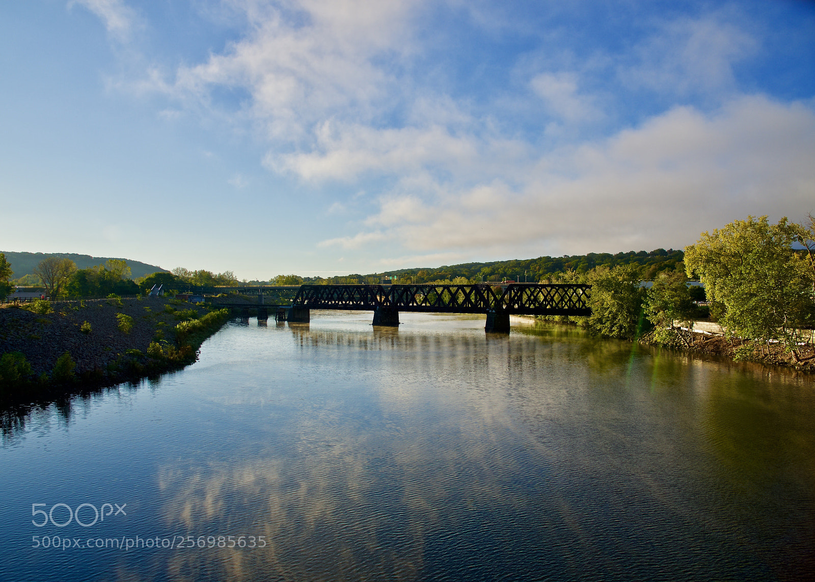 Nikon D750 sample photo. Crossing  photography