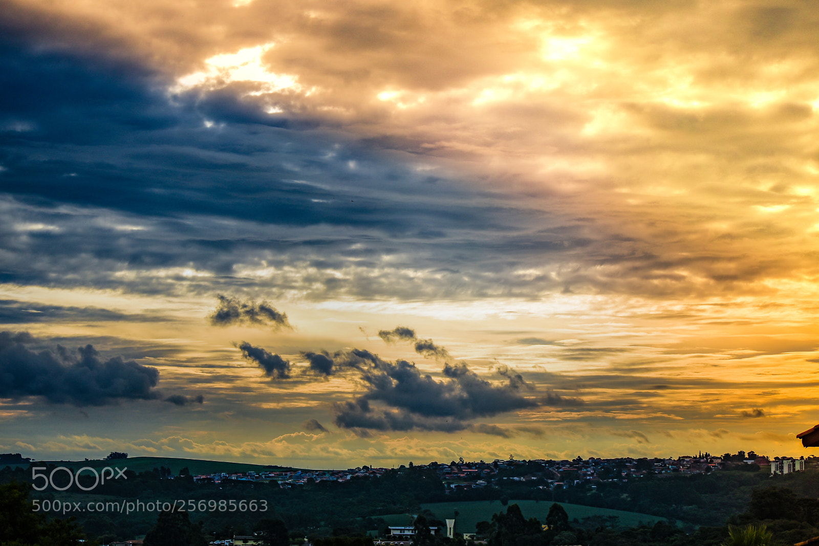Nikon D5600 sample photo. Brincando com presets photography
