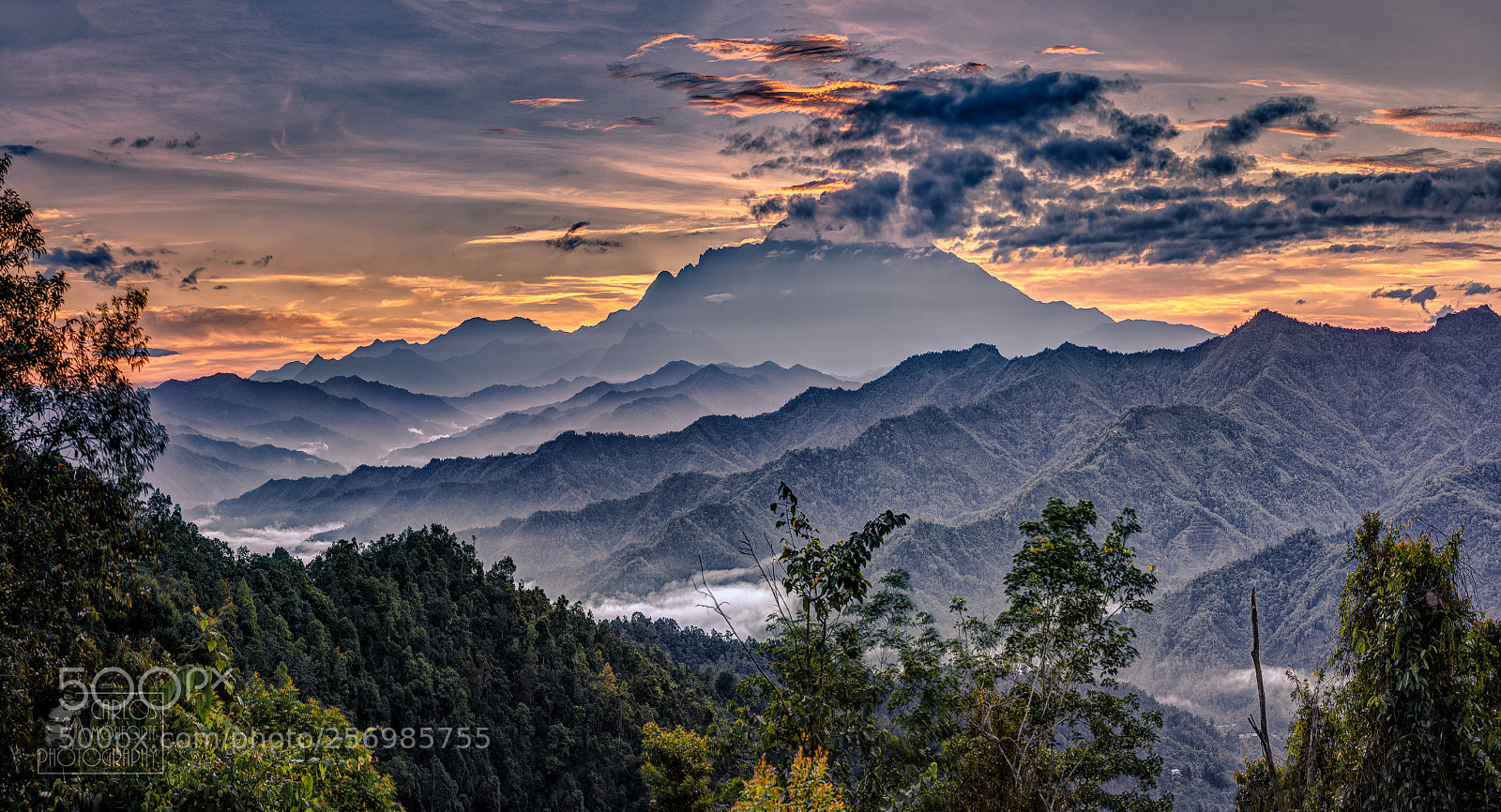 Canon EOS-1D X Mark II sample photo. Sunrise on the jungle photography
