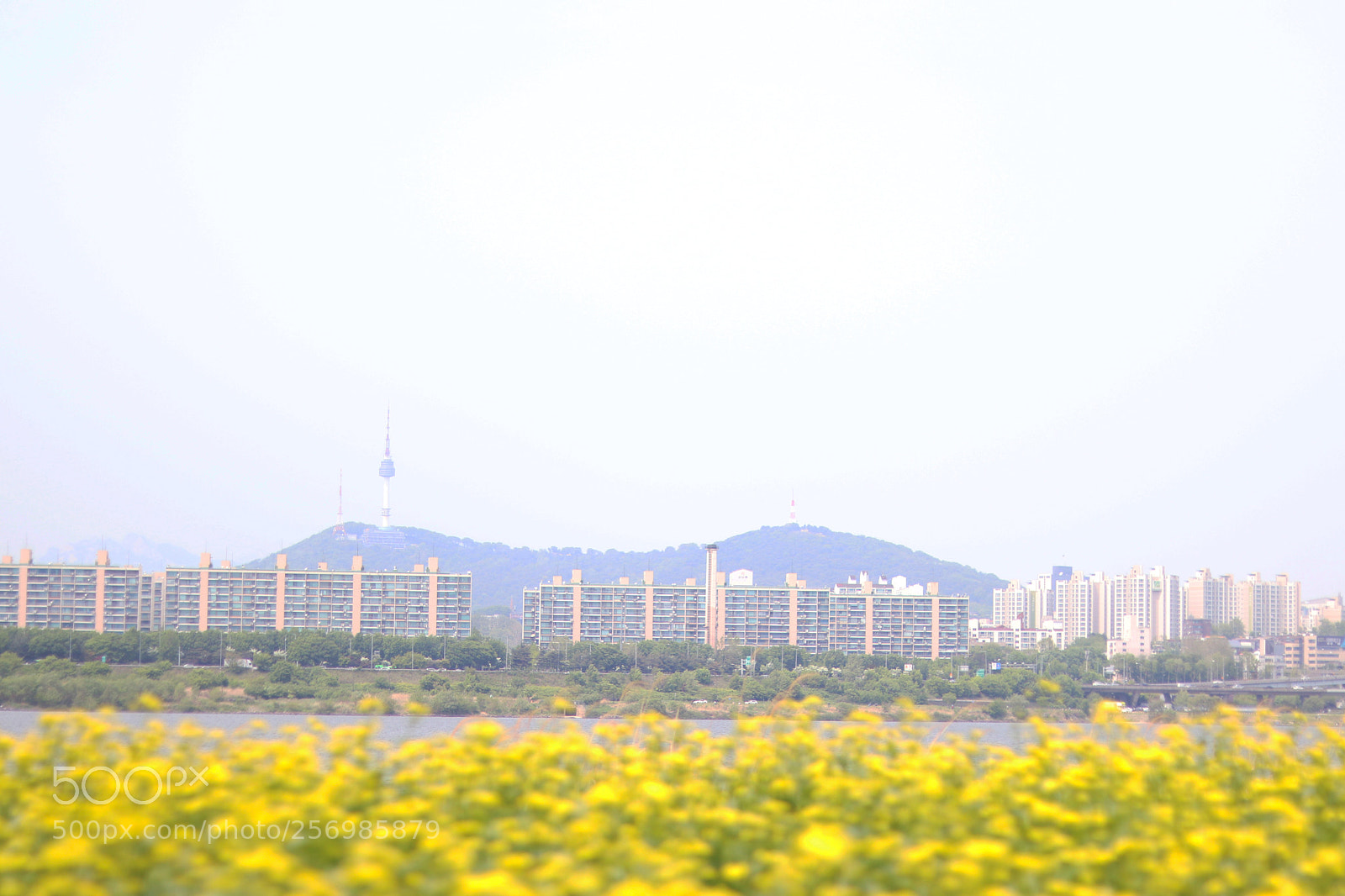 Canon EOS 800D (EOS Rebel T7i / EOS Kiss X9i) sample photo. Banpo bridge photography