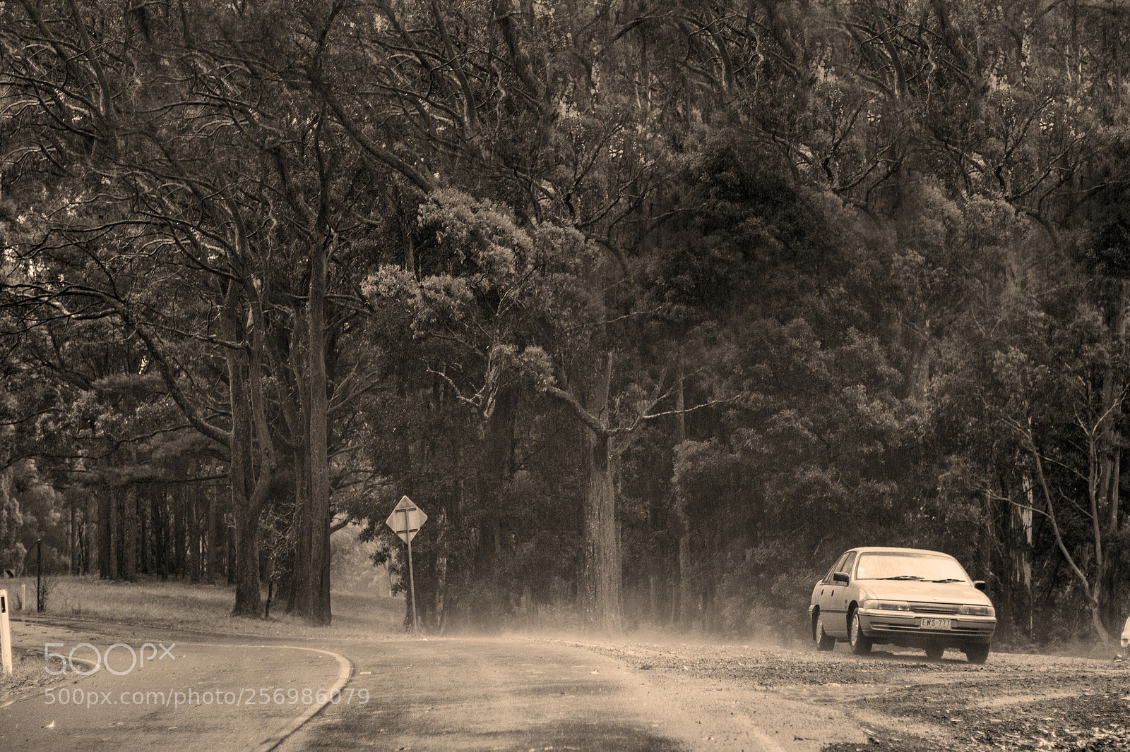 Canon EOS 700D (EOS Rebel T5i / EOS Kiss X7i) sample photo. Mount macedon photography