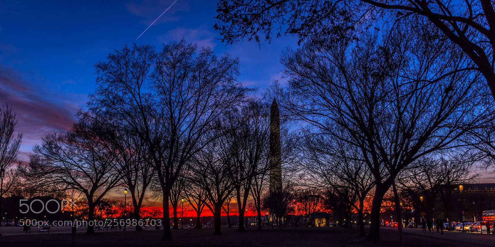Nikon D750 sample photo. Sunset on the mall photography