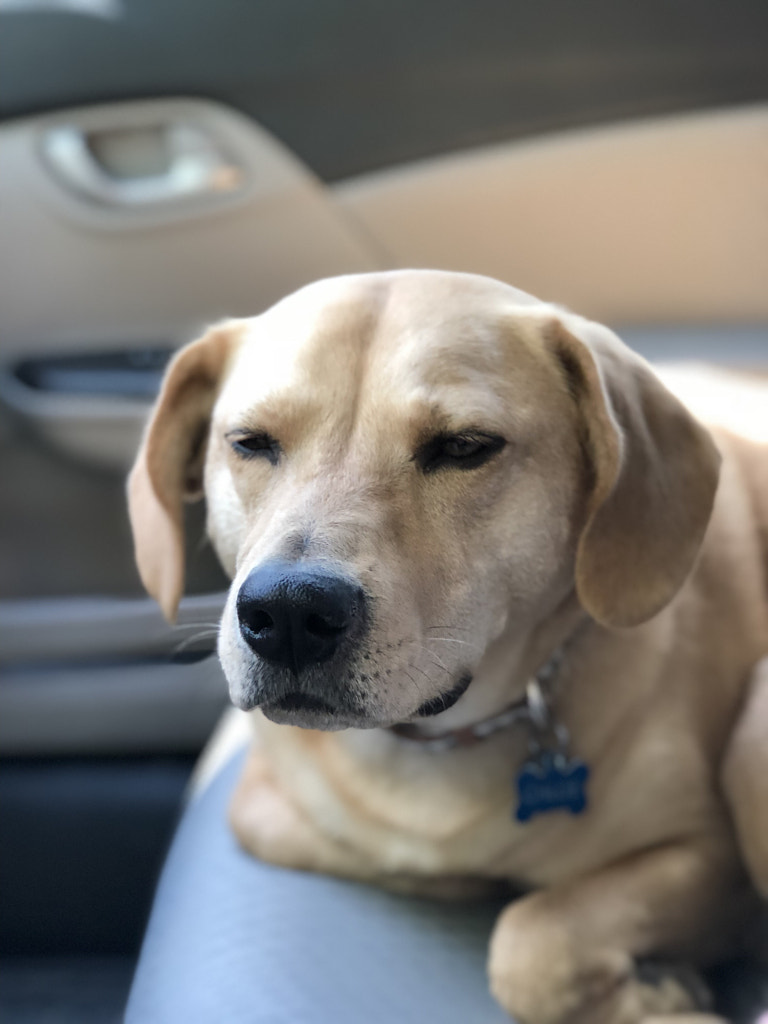 Untitled by Jacqueline and Kevin Reape on 500px.com