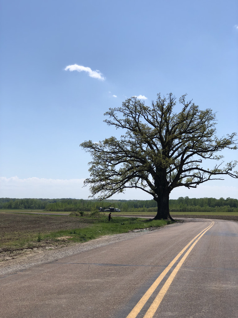 Untitled by Jacqueline and Kevin Reape on 500px.com