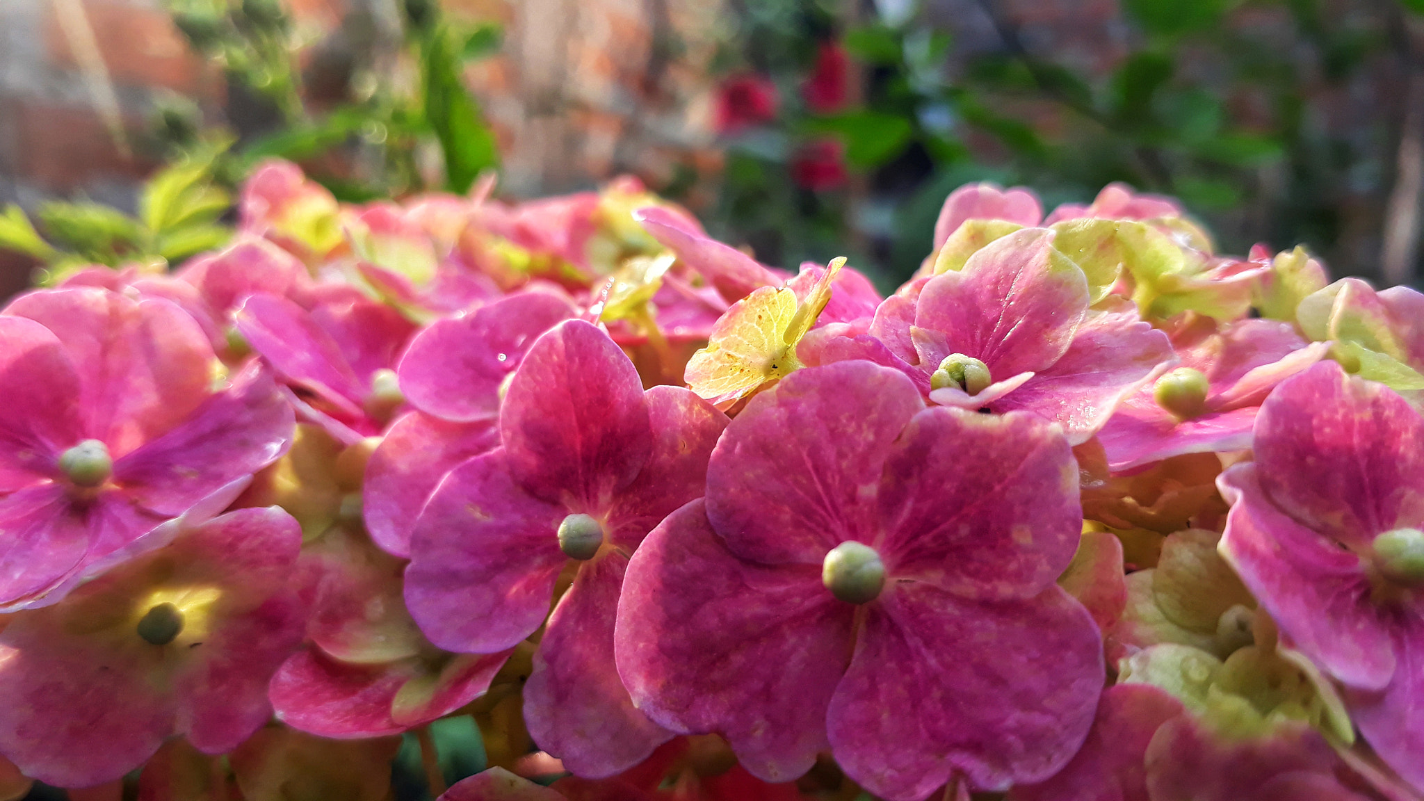 Samsung Galaxy J7 Prime sample photo