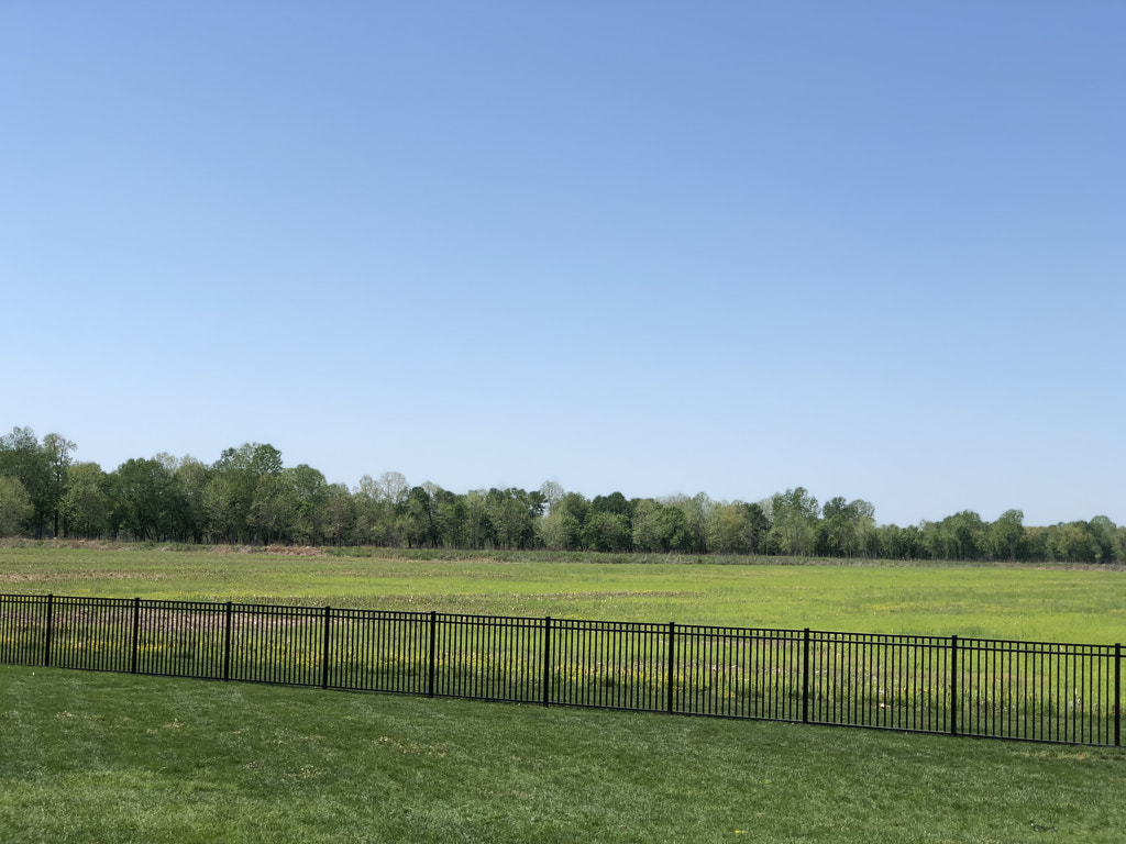 Untitled by Jacqueline and Kevin Reape on 500px.com