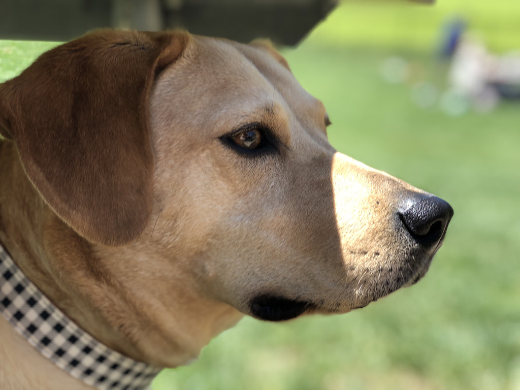 Untitled by Jacqueline and Kevin Reape on 500px.com