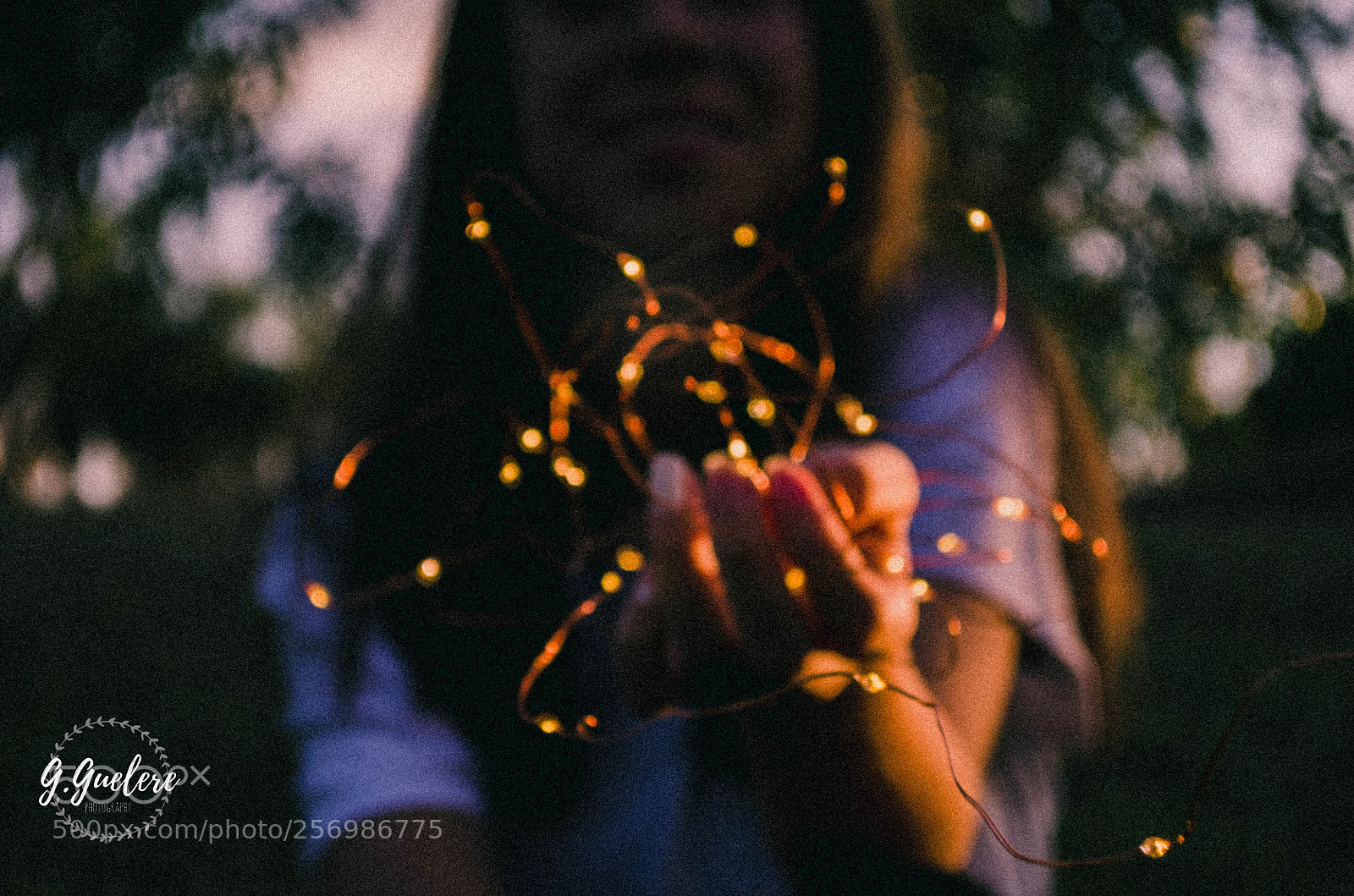 Nikon D5100 sample photo. Fairy photography