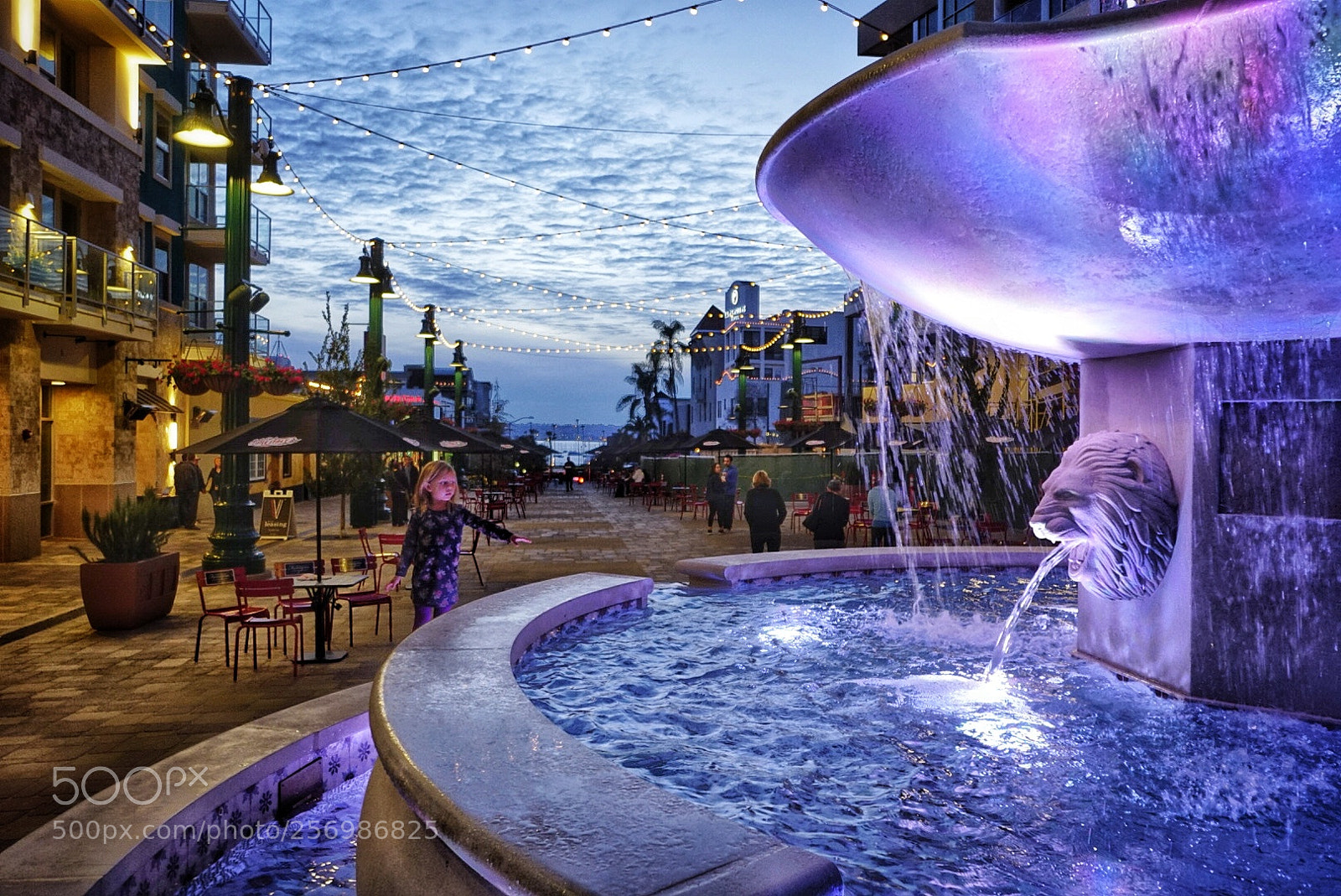 Sony a6500 sample photo. Untitled photography