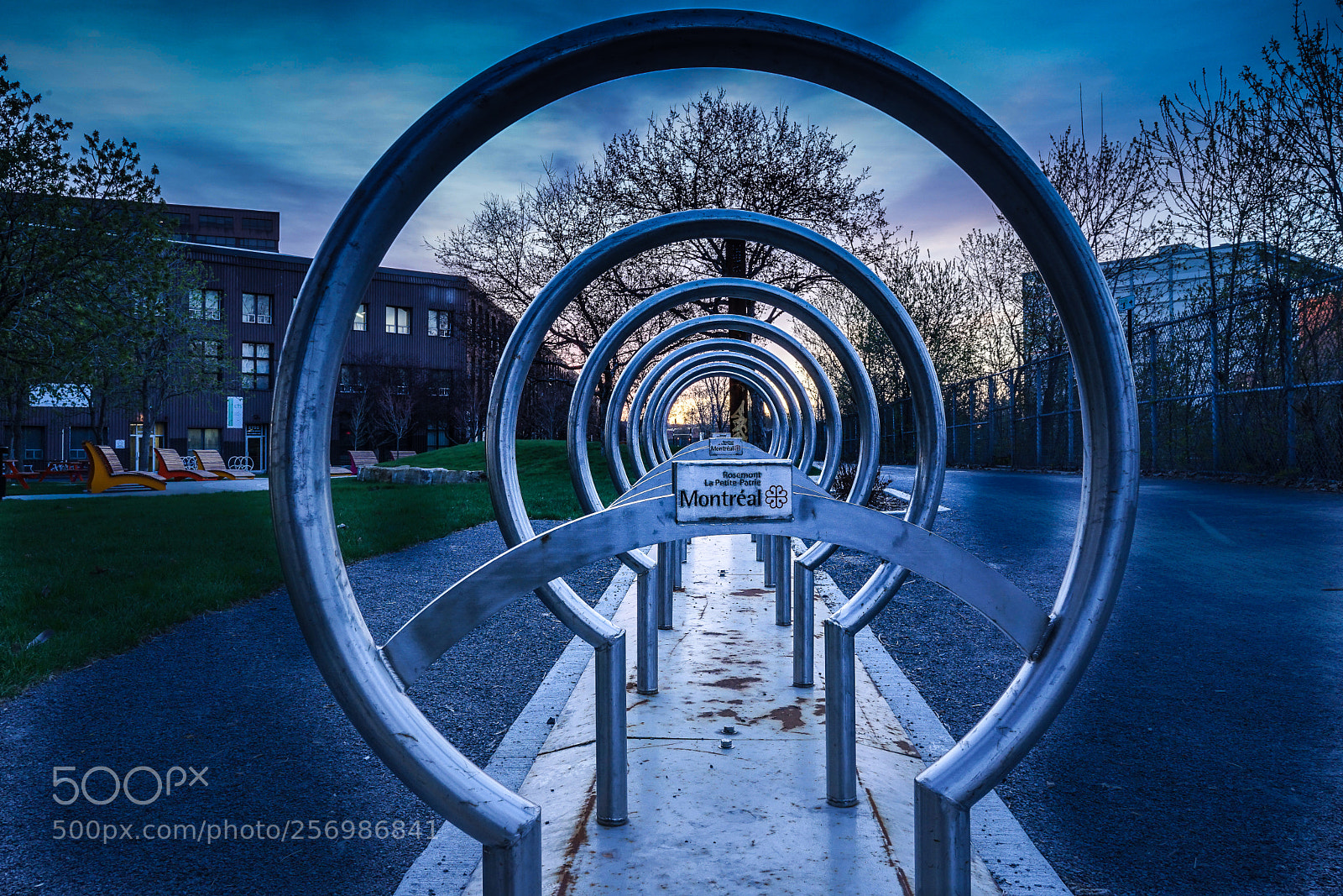 Sony a7 II sample photo. Rosemont-petite patrie photography