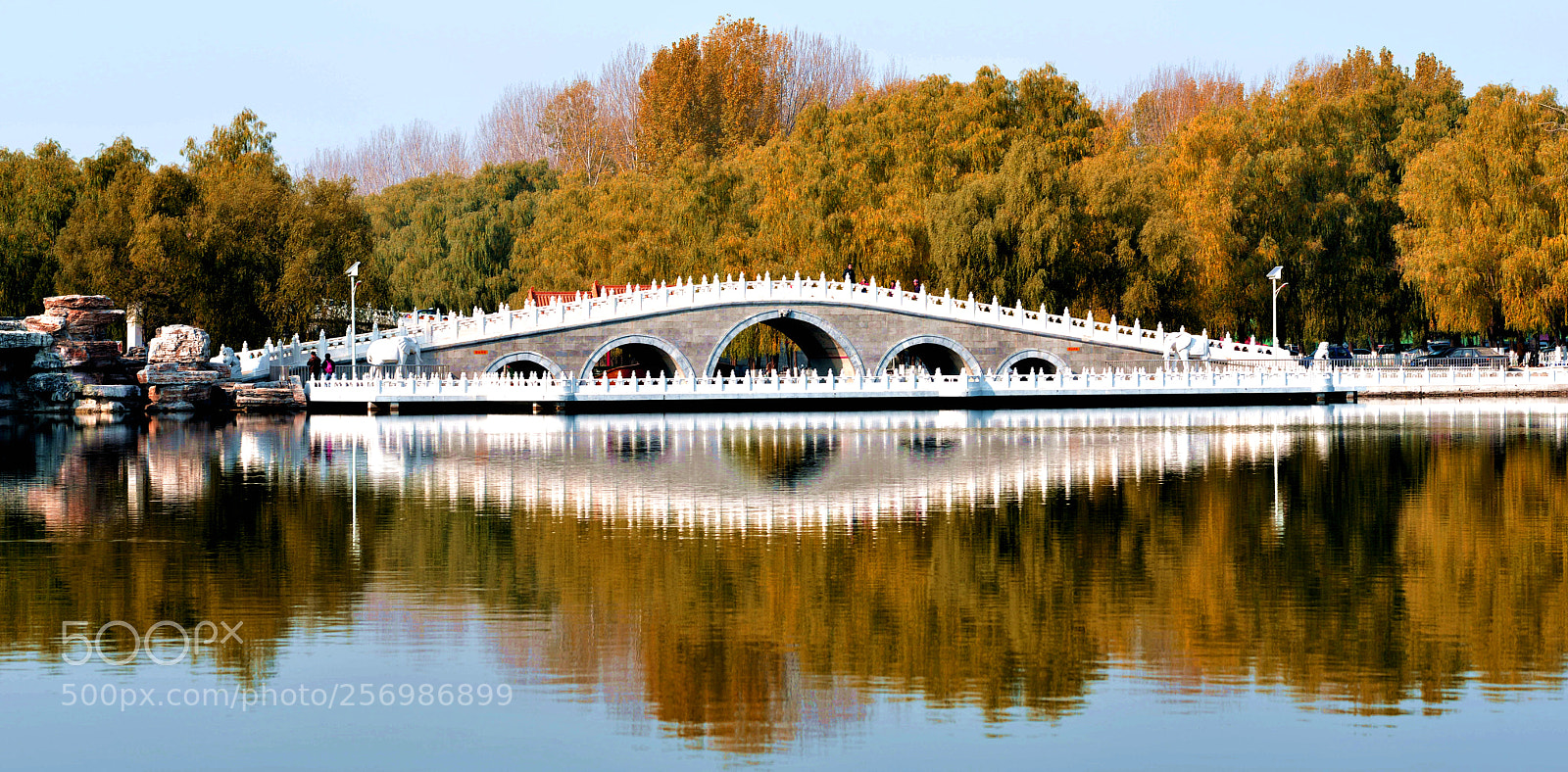 Nikon D800 sample photo. Untitled photography