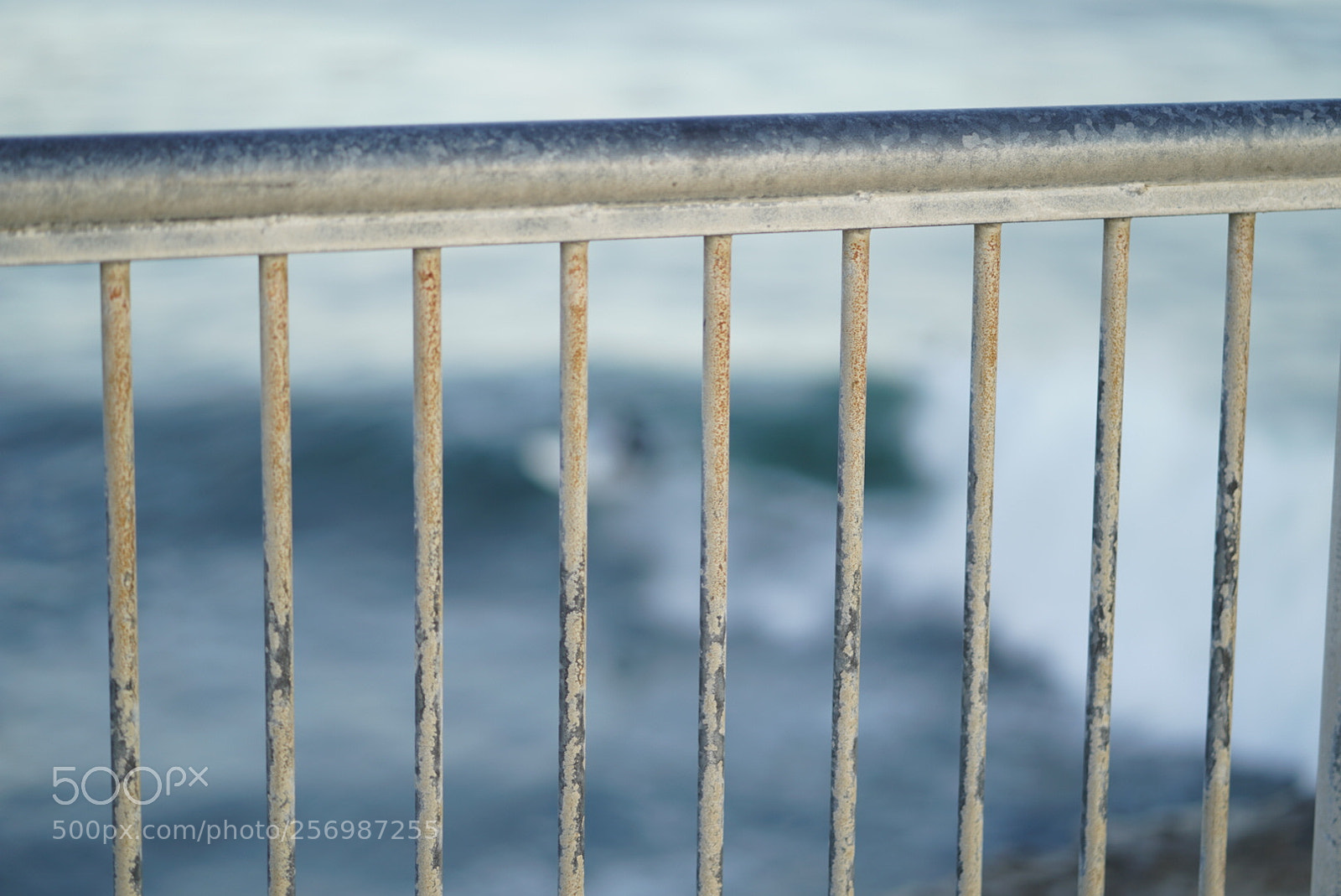 Sony a7 III sample photo. Untitled photography