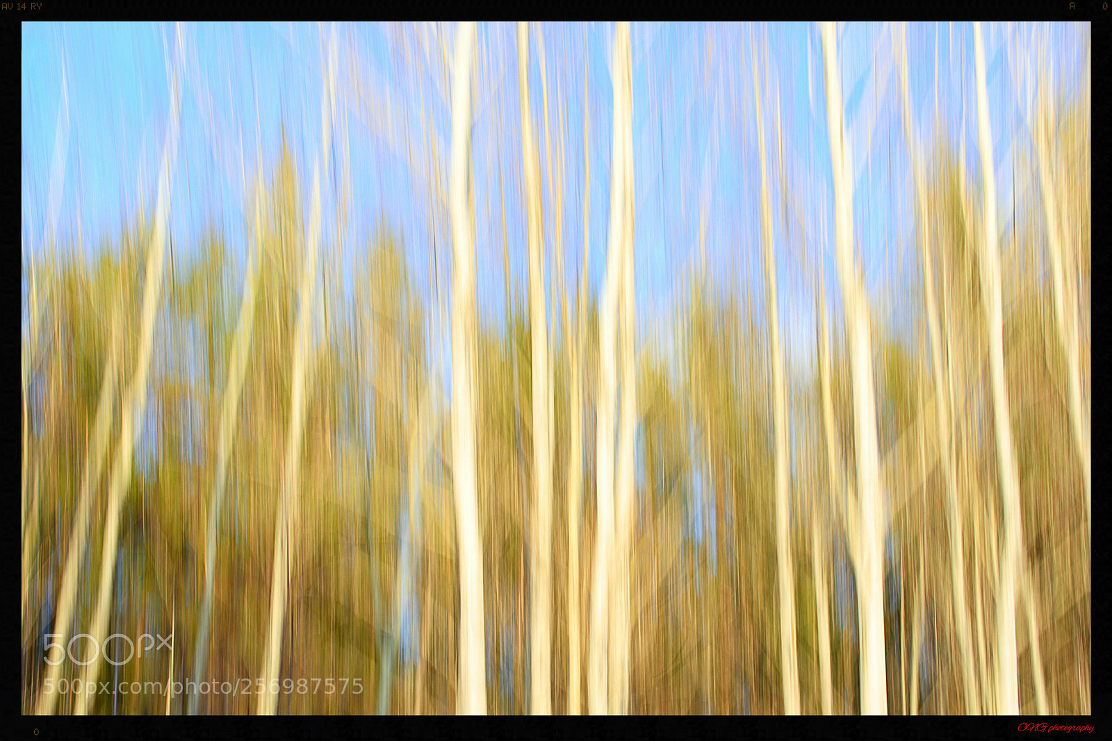 Nikon D7200 sample photo. Efectos pintura photography