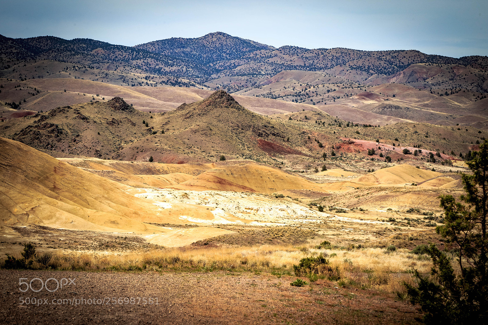 Canon EOS 6D sample photo. High desert photography