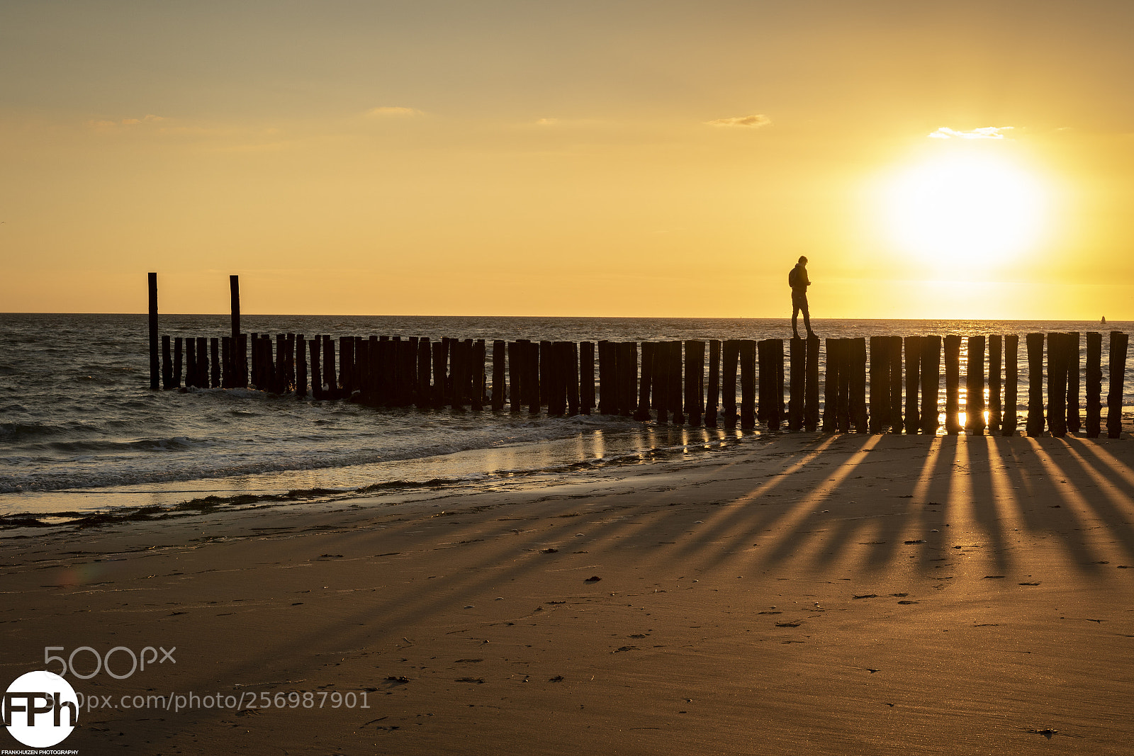 Canon EOS 7D Mark II sample photo. Enjoying the sunset photography