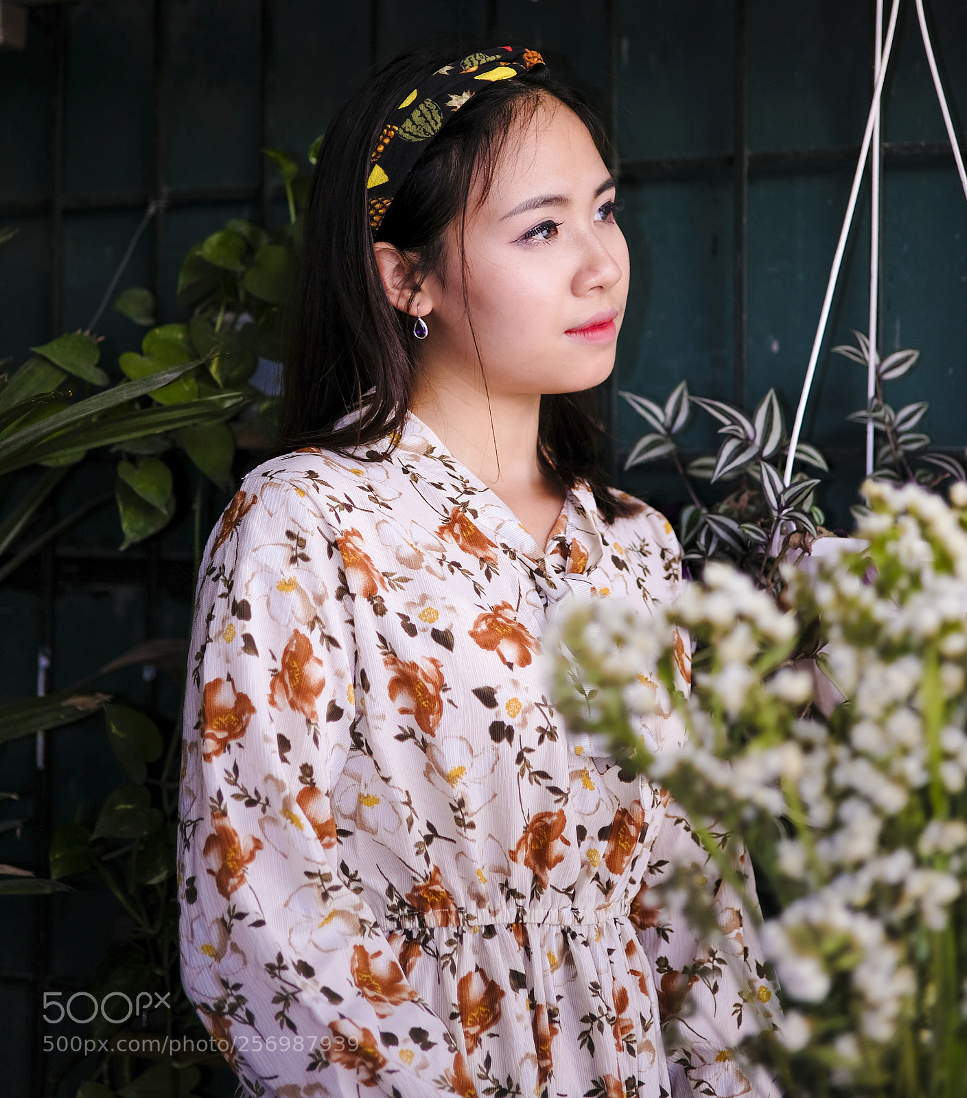 Fujifilm X-T20 sample photo. 1214.jpg photography