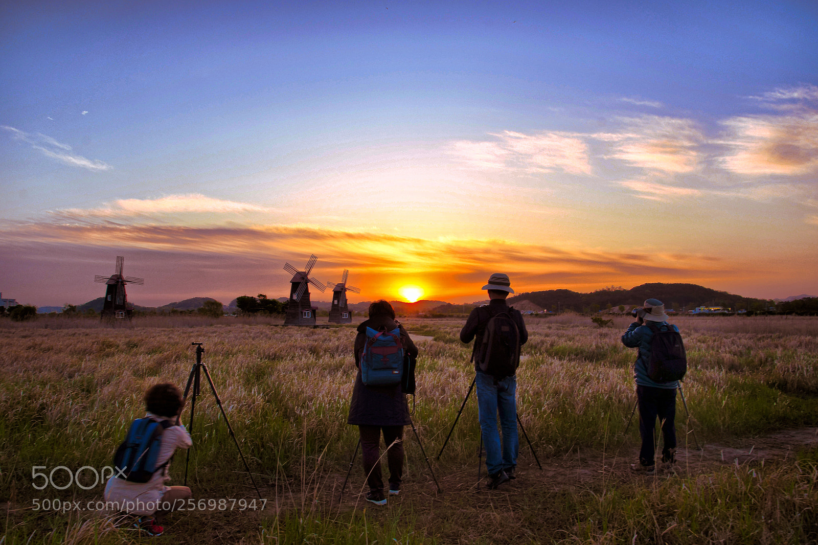 Nikon D500 sample photo. The sunrise of the photography
